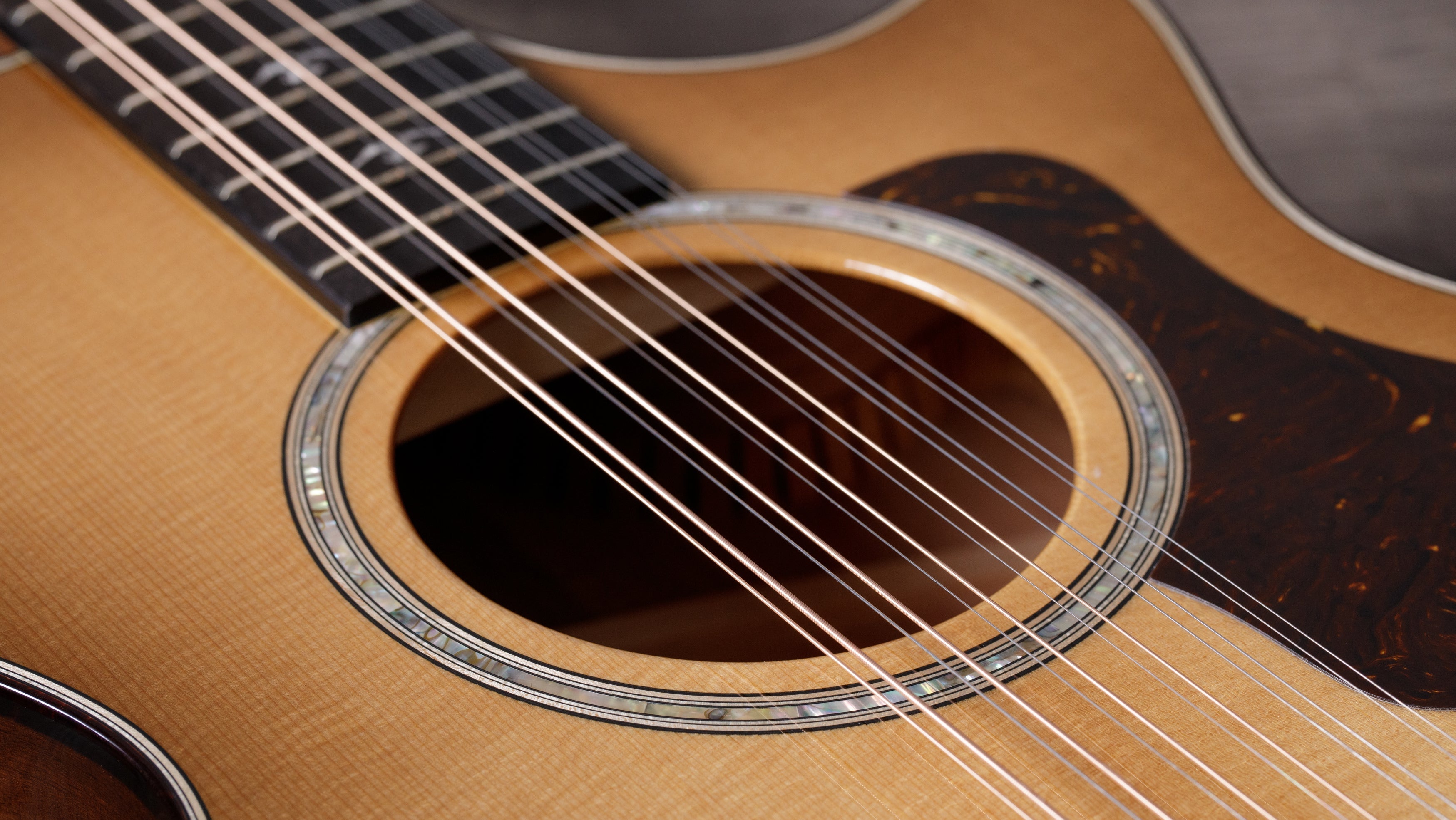 Taylor 12-String | Haggerty's Music Inc