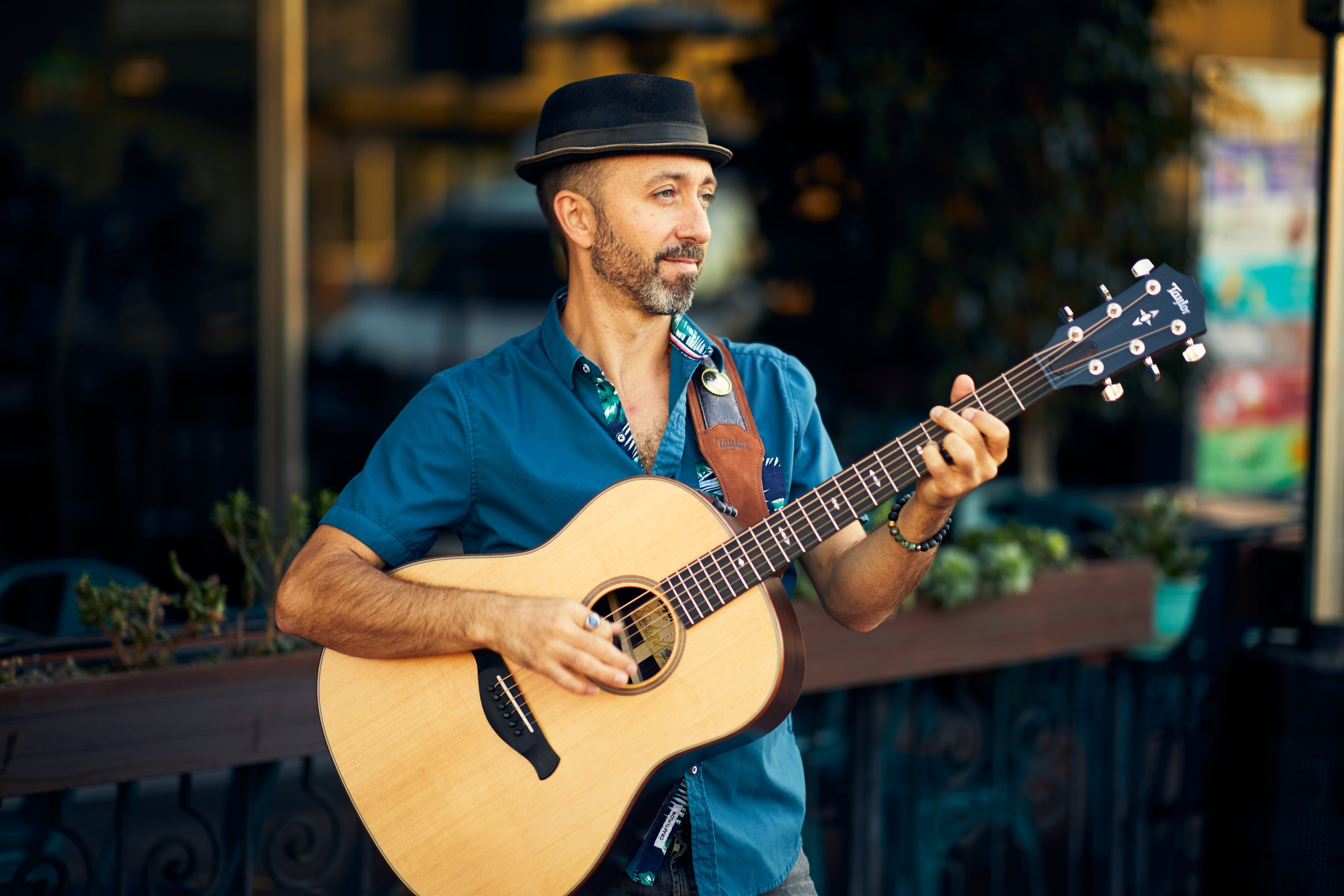 Taylor 700 Series | Haggerty's Music Inc