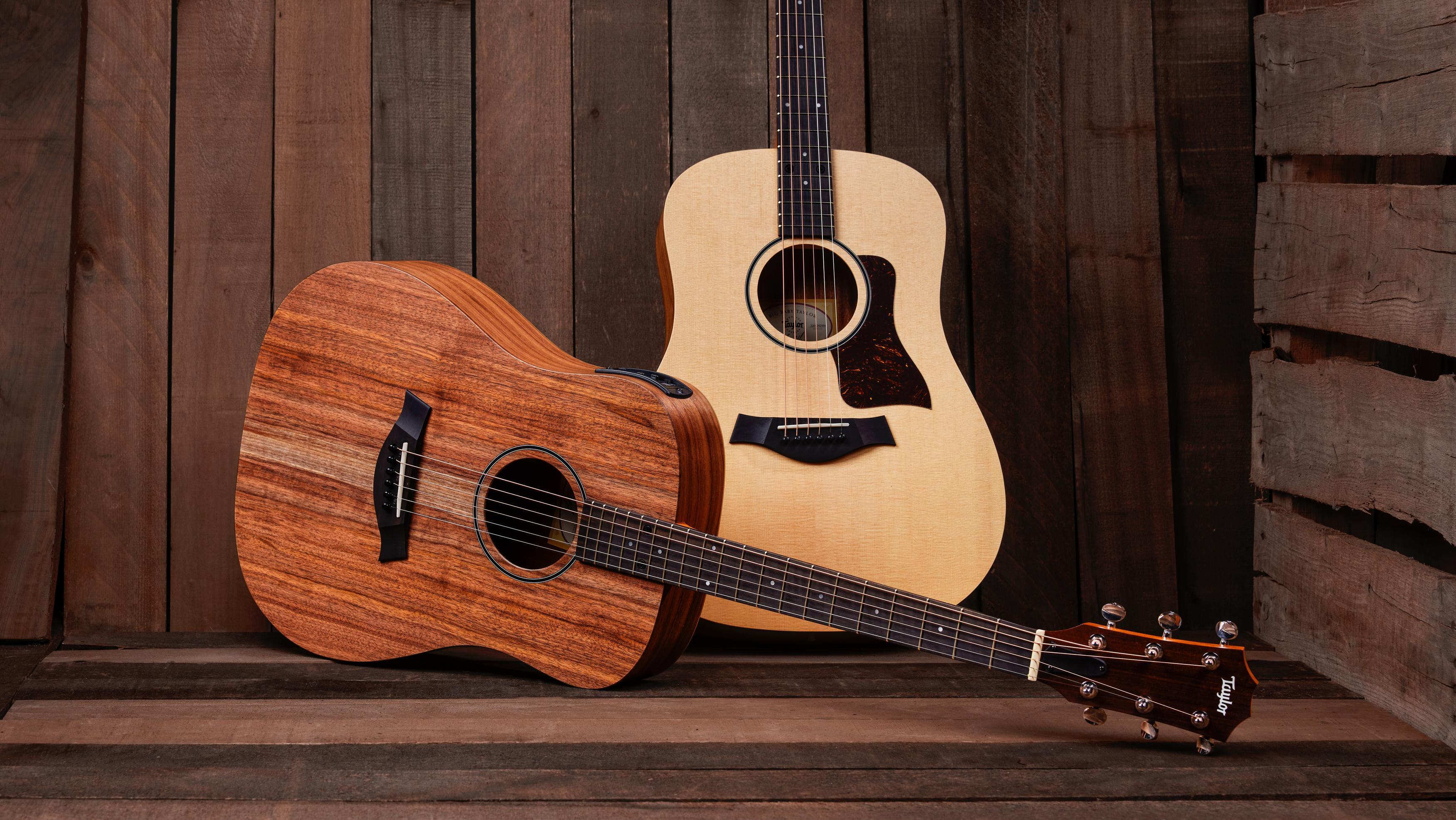 Taylor Big Baby Taylor | Haggerty's Music Inc