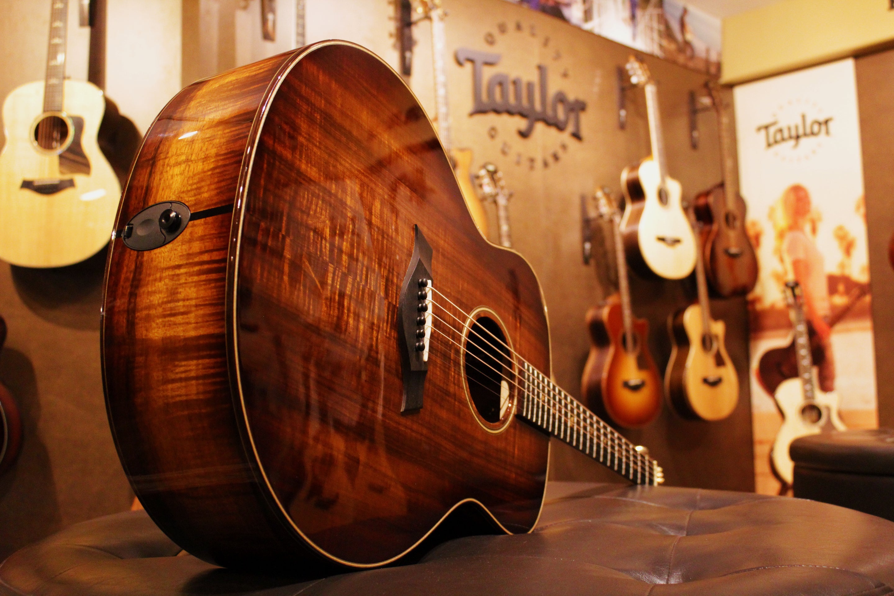 Taylor Guitars | Haggerty's Music Inc