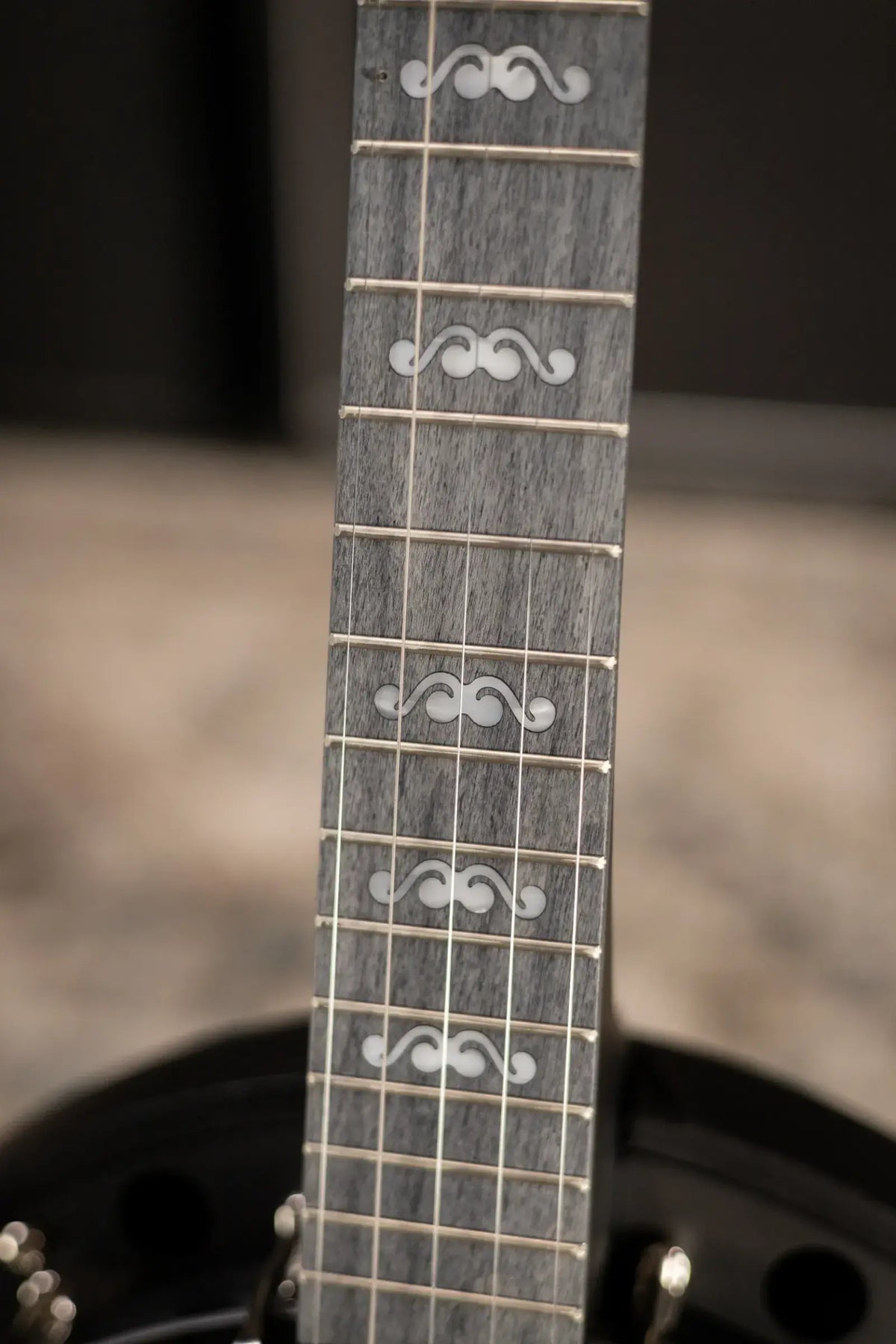 Deering Goodtime Blackgrass Special 5-String Banjo - Black Stain
