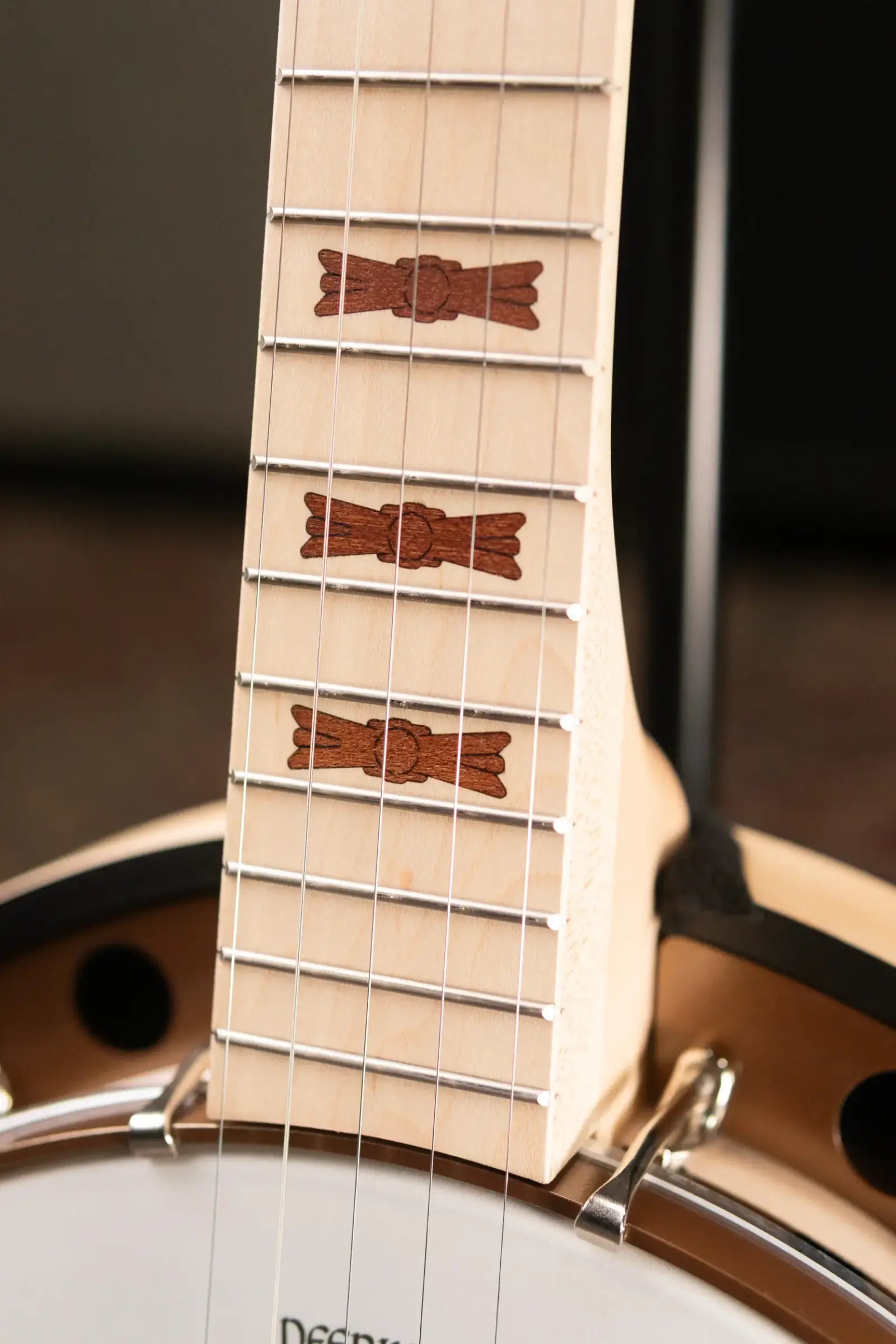 Deering Goodtime Special Banjo with Resonator - Demo