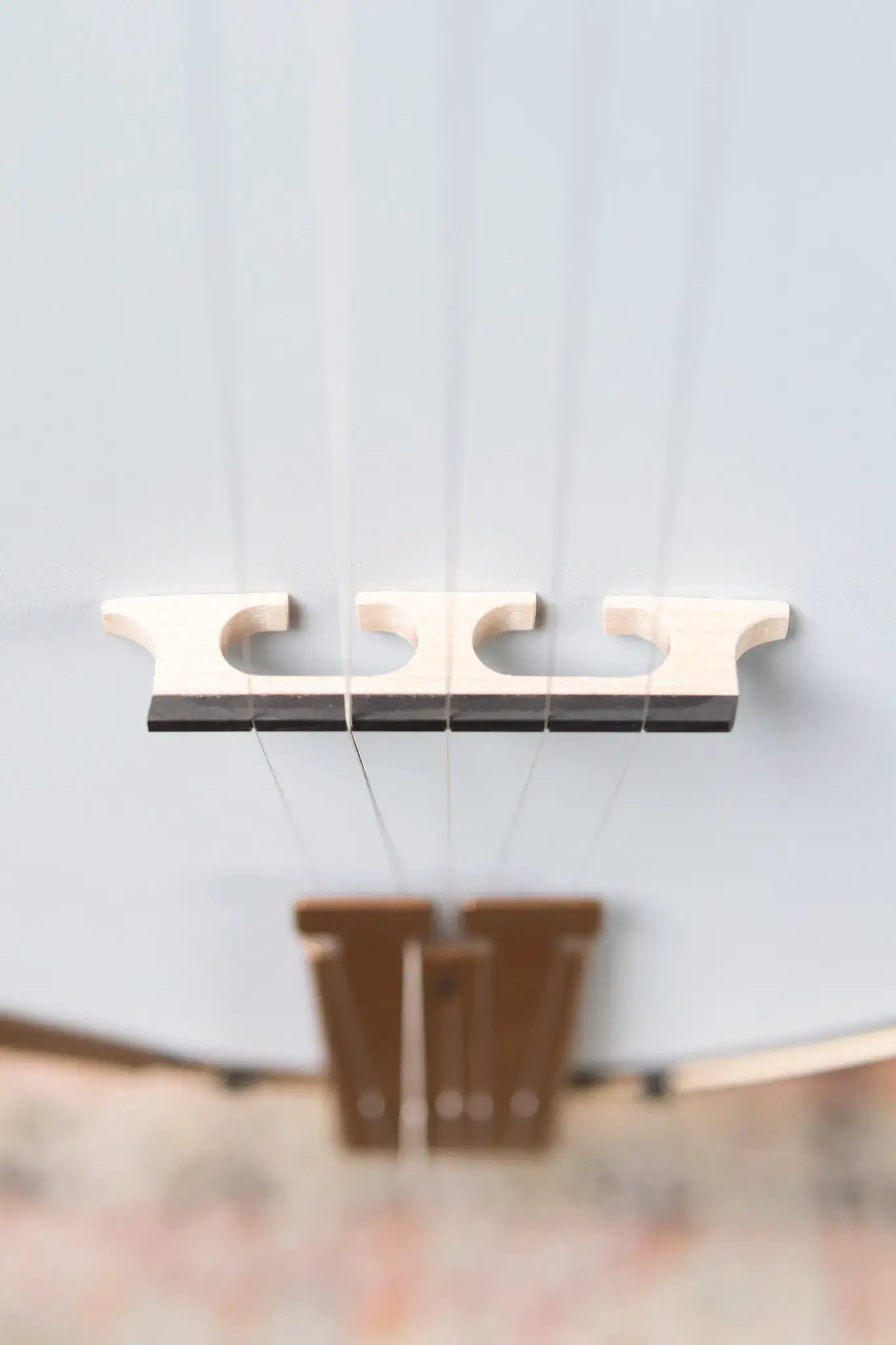 Deering Goodtime Special Banjo with Resonator - Demo
