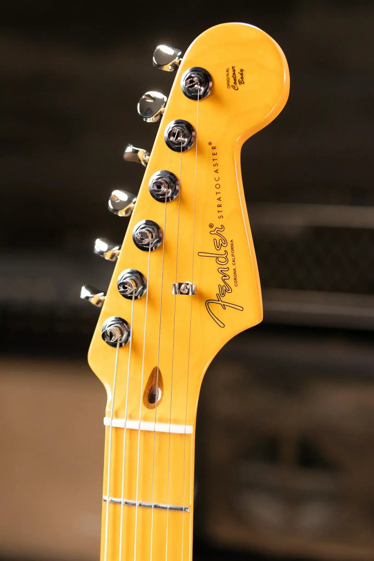 Fender American Professional Classic Stratocaster Electric Guitar - Faded Lake Placid Blue with Gig Bag - Demo