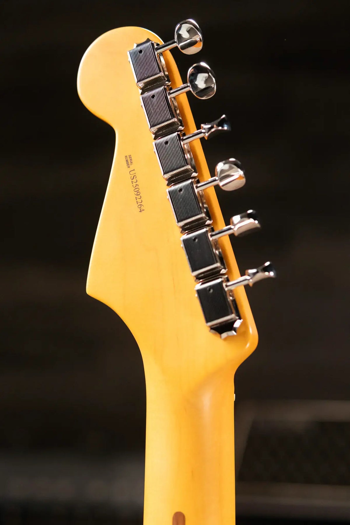 Fender American Professional Classic Stratocaster Electric Guitar - Faded Lake Placid Blue with Gig Bag - Demo