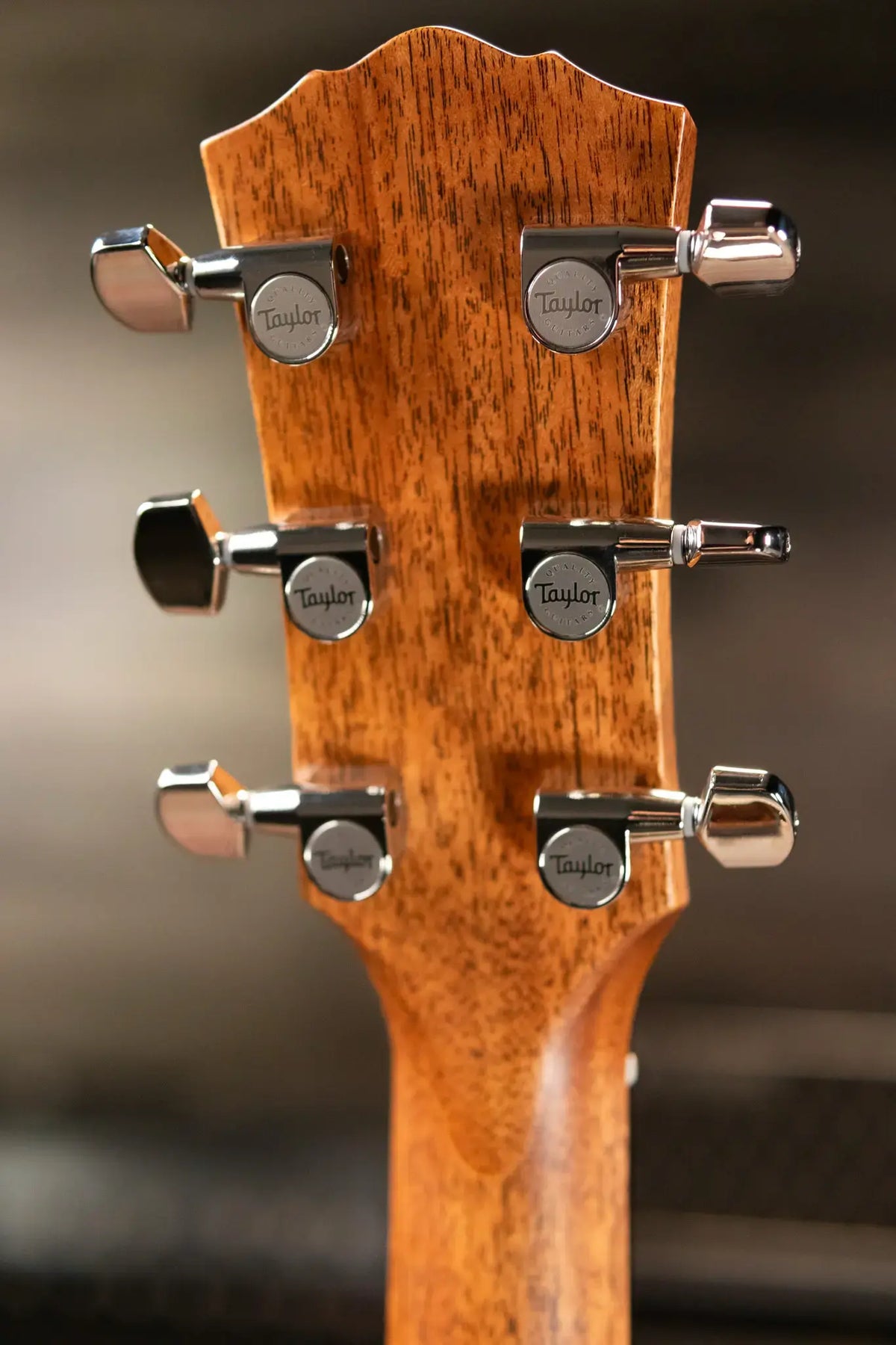 Taylor Gold Label 717e Grand Pacific Acoustic/Electric Guitar - Blacktop with Hardshell Case - Demo