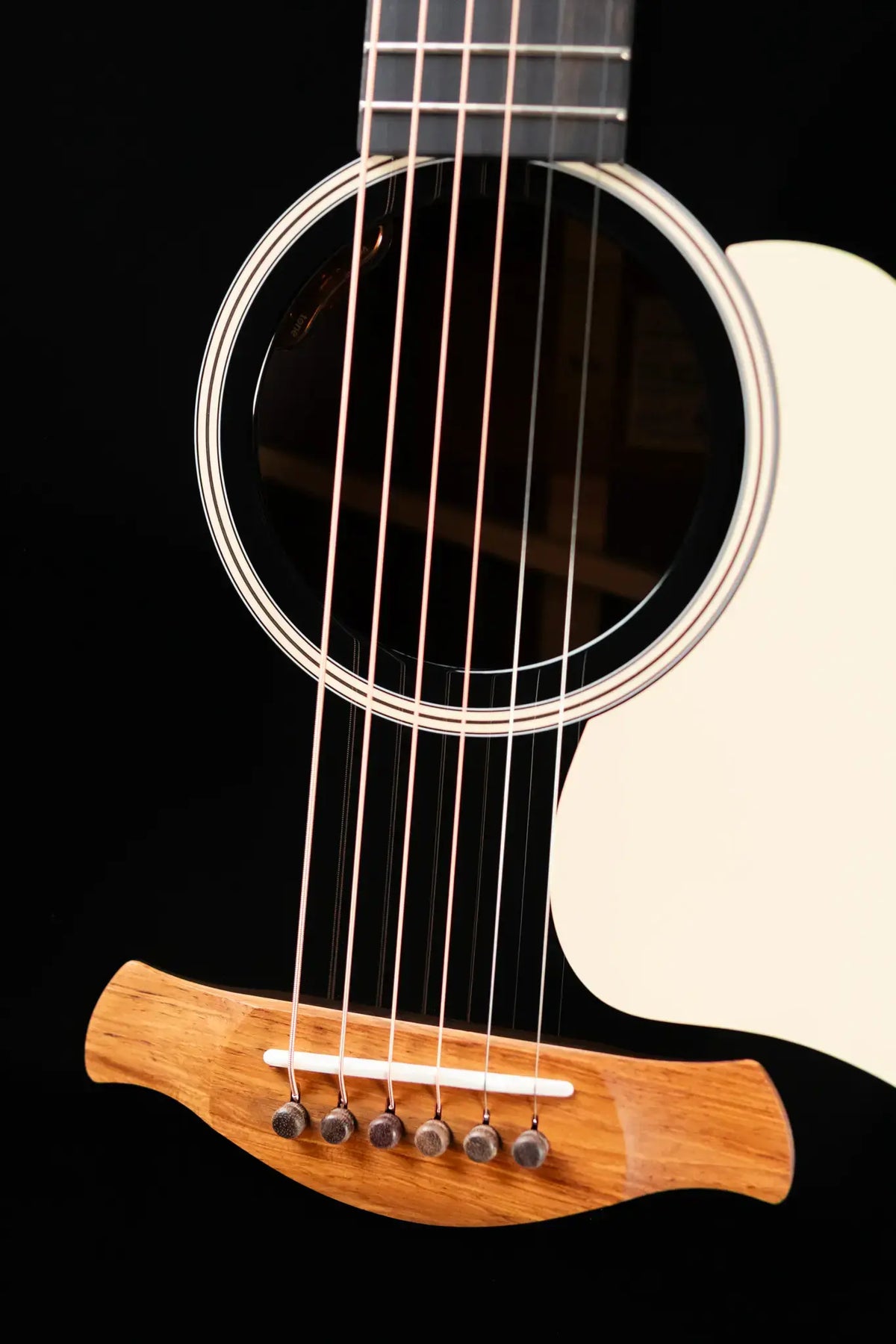 Taylor Gold Label 717e Grand Pacific Acoustic/Electric Guitar - Blacktop with Hardshell Case - Demo