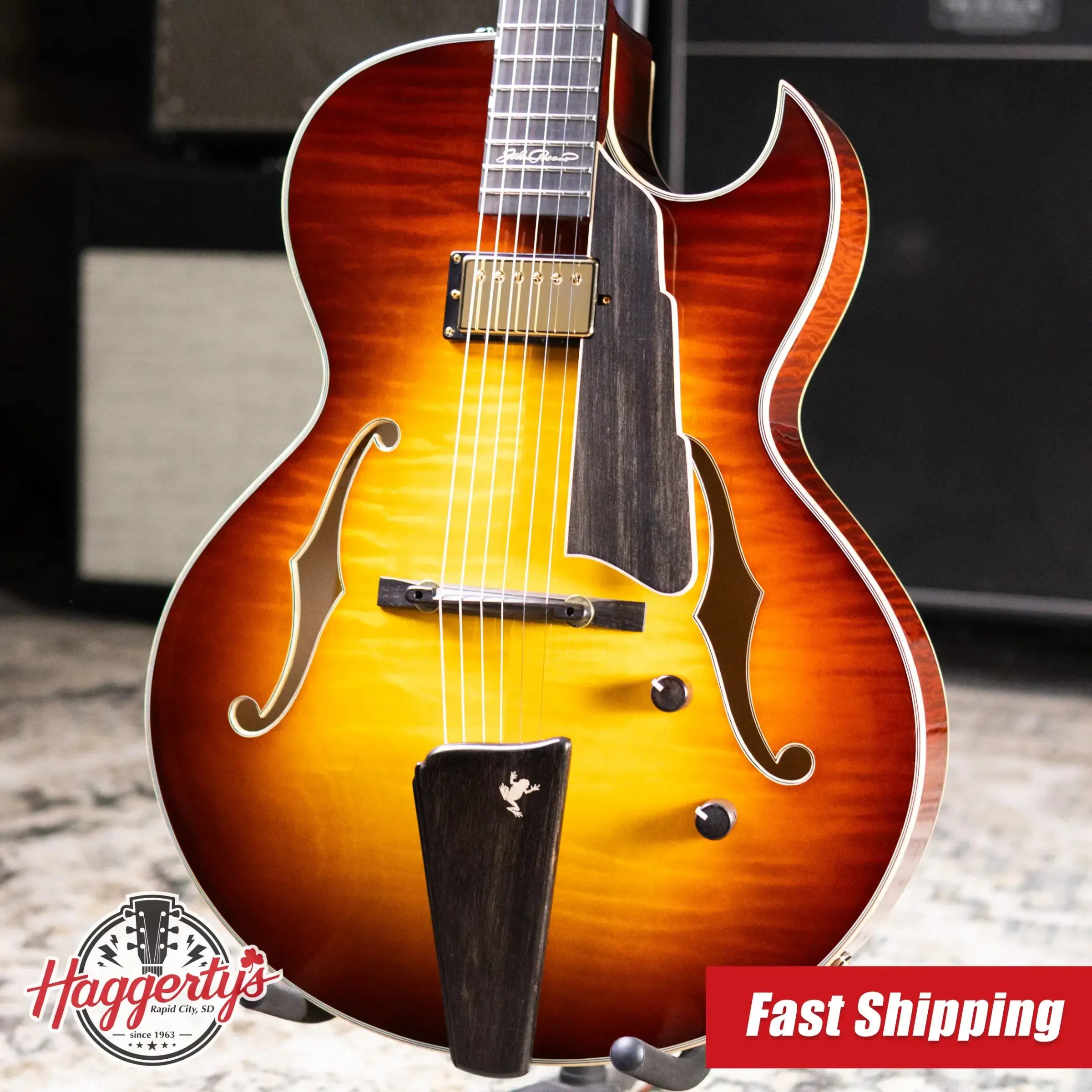 Eastman AR480CE-SB John Pisano Signature Archtop Hollowbody Electric Guitar - Sunburst with Hardshell Case