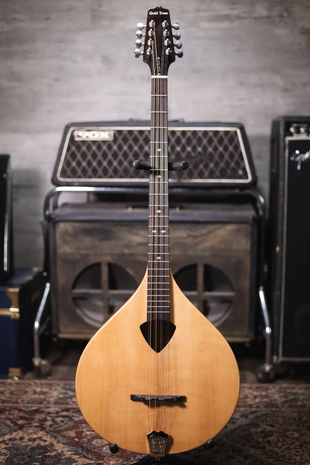 Gold Tone BZ 500 Irish Bouzouki Mandolin haggertys 02