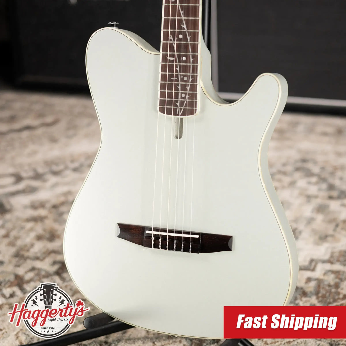 Ibanez TOD10N Tim Henson Signature Nylon Acoustic/Electric Guitar - Silver Metallic Flat