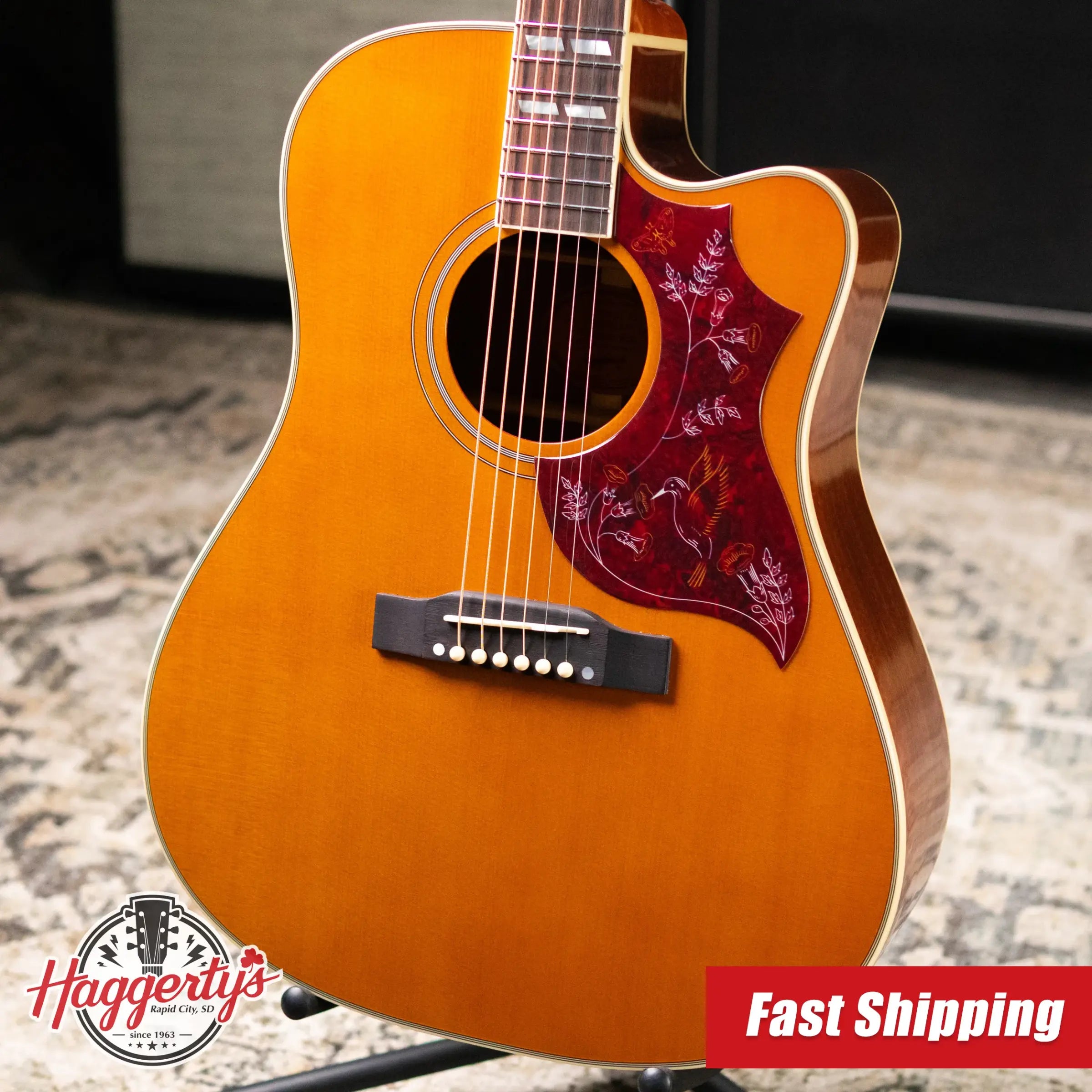 Epiphone Hummingbird Standard EC Acoustic/Electric Guitar - Natural