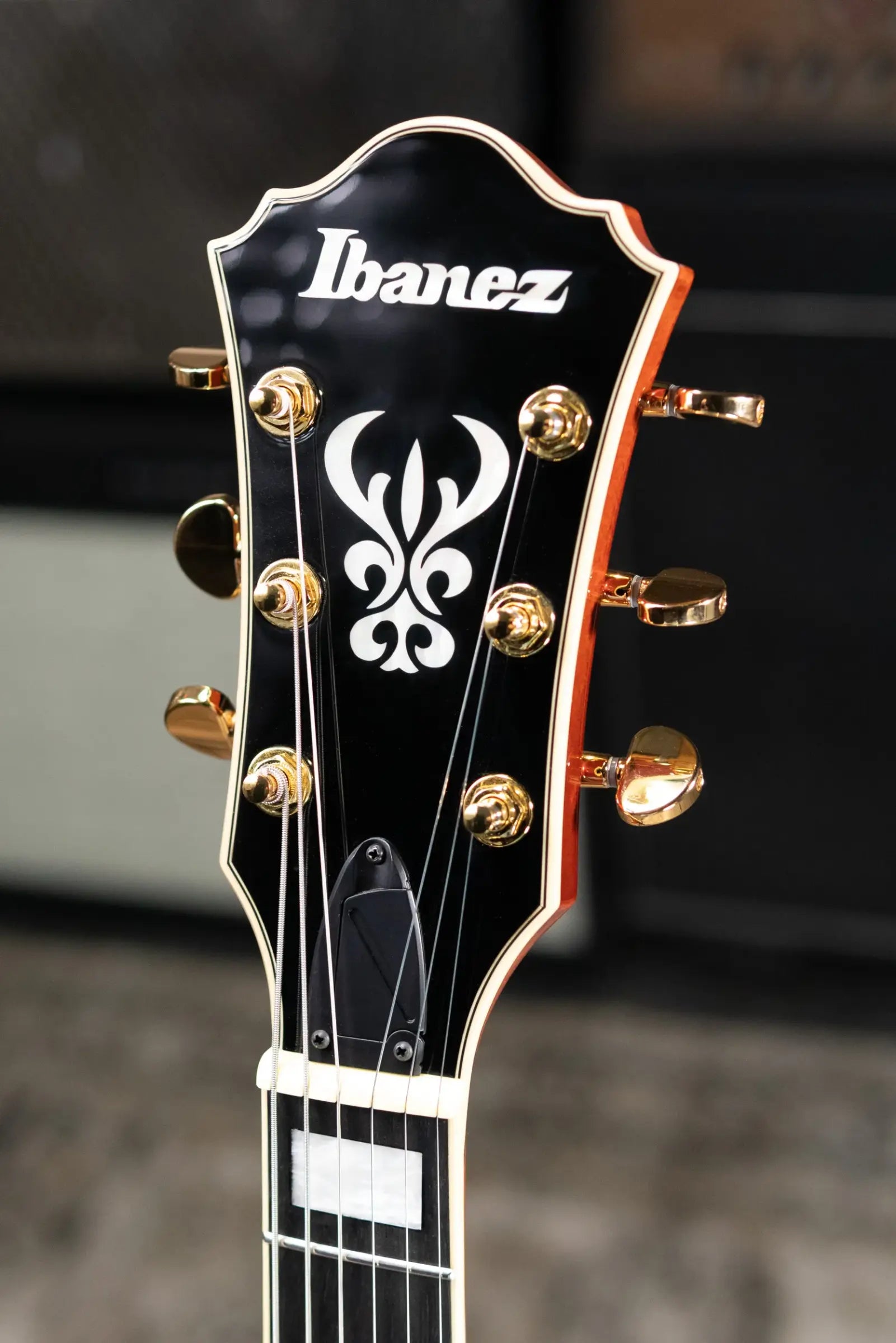 Ibanez AG95MGDA Artcore Expressionist Hollowbody Electric Guitar - Dark Amber