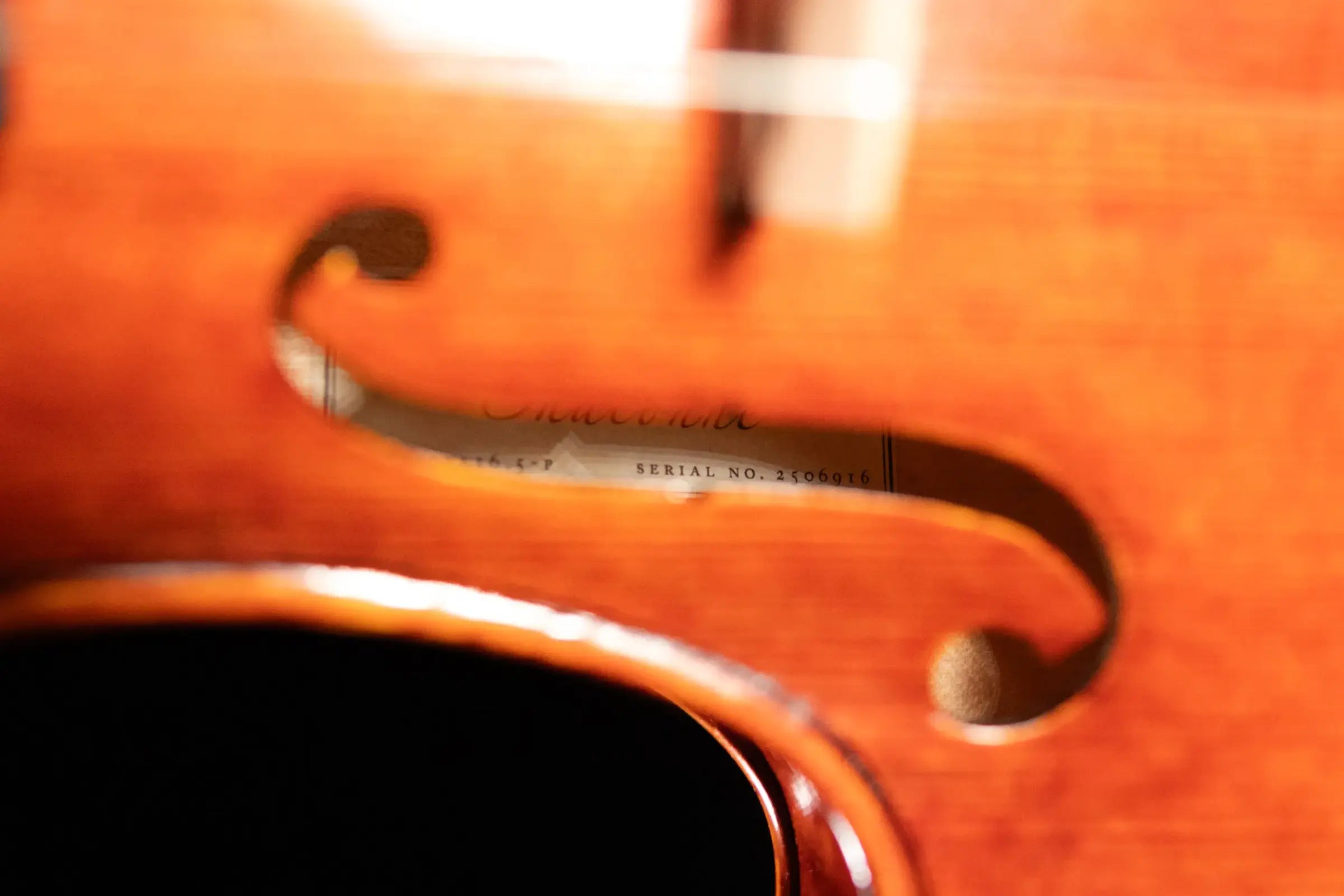 Maple Leaf Strings Chaconne Craftsman Collection Viola, Parisian Eye Fittings - 16.5"