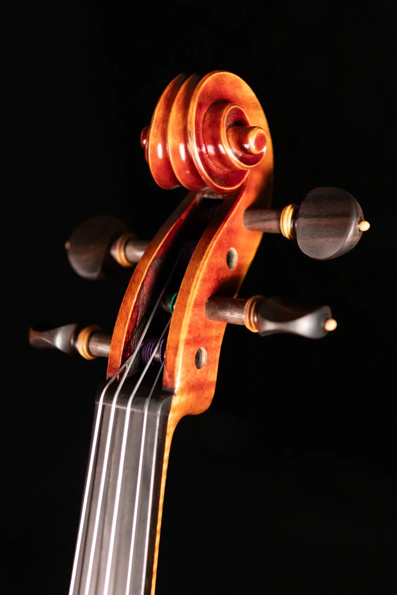 Maple Leaf Strings Master Collection Master Linn Violin - 4/4