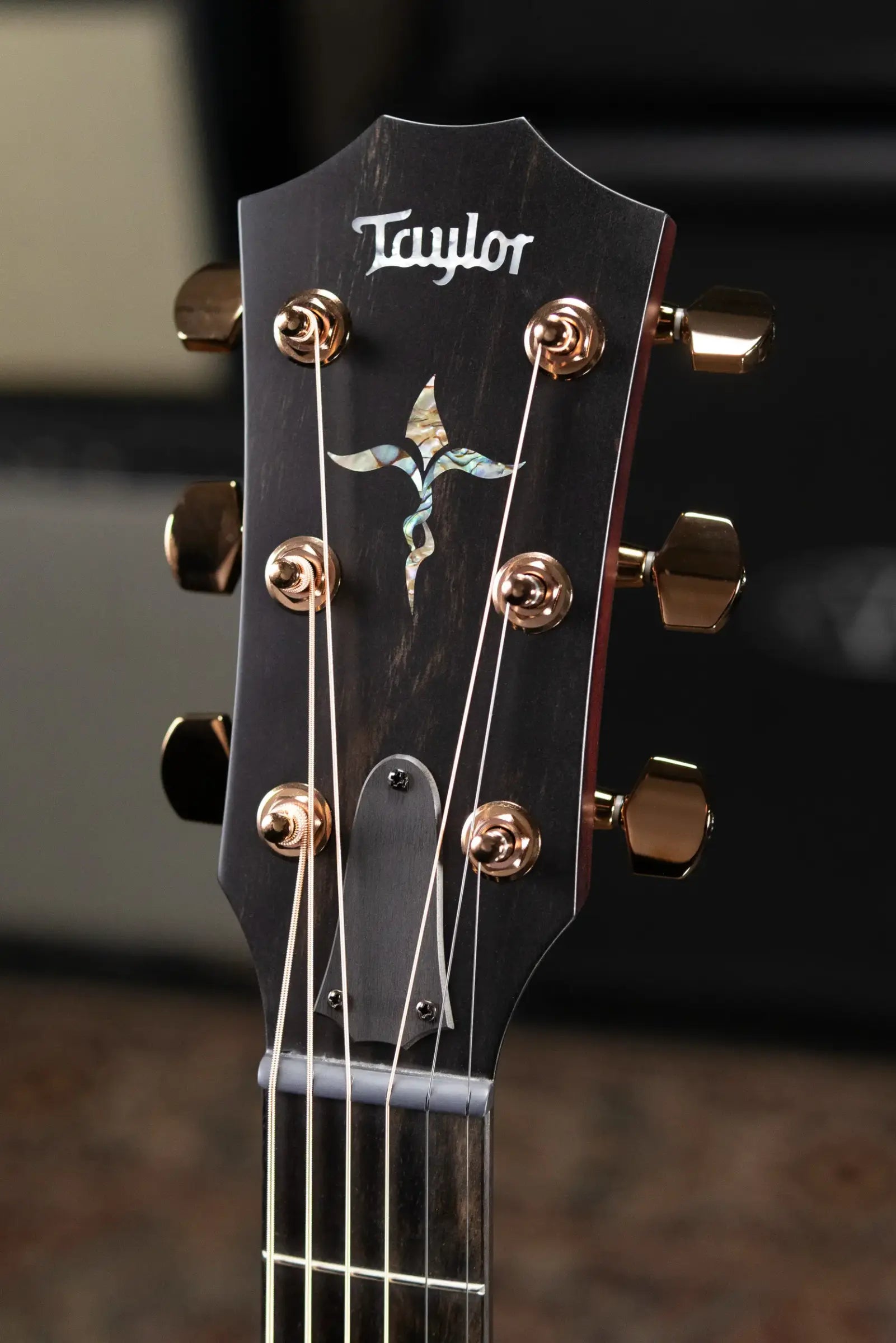 Taylor Next Generation K24ce Special Edition Grand Auditorium Acoustic/Electric Guitar - Shaded Edgeburst with Hardshell Case
