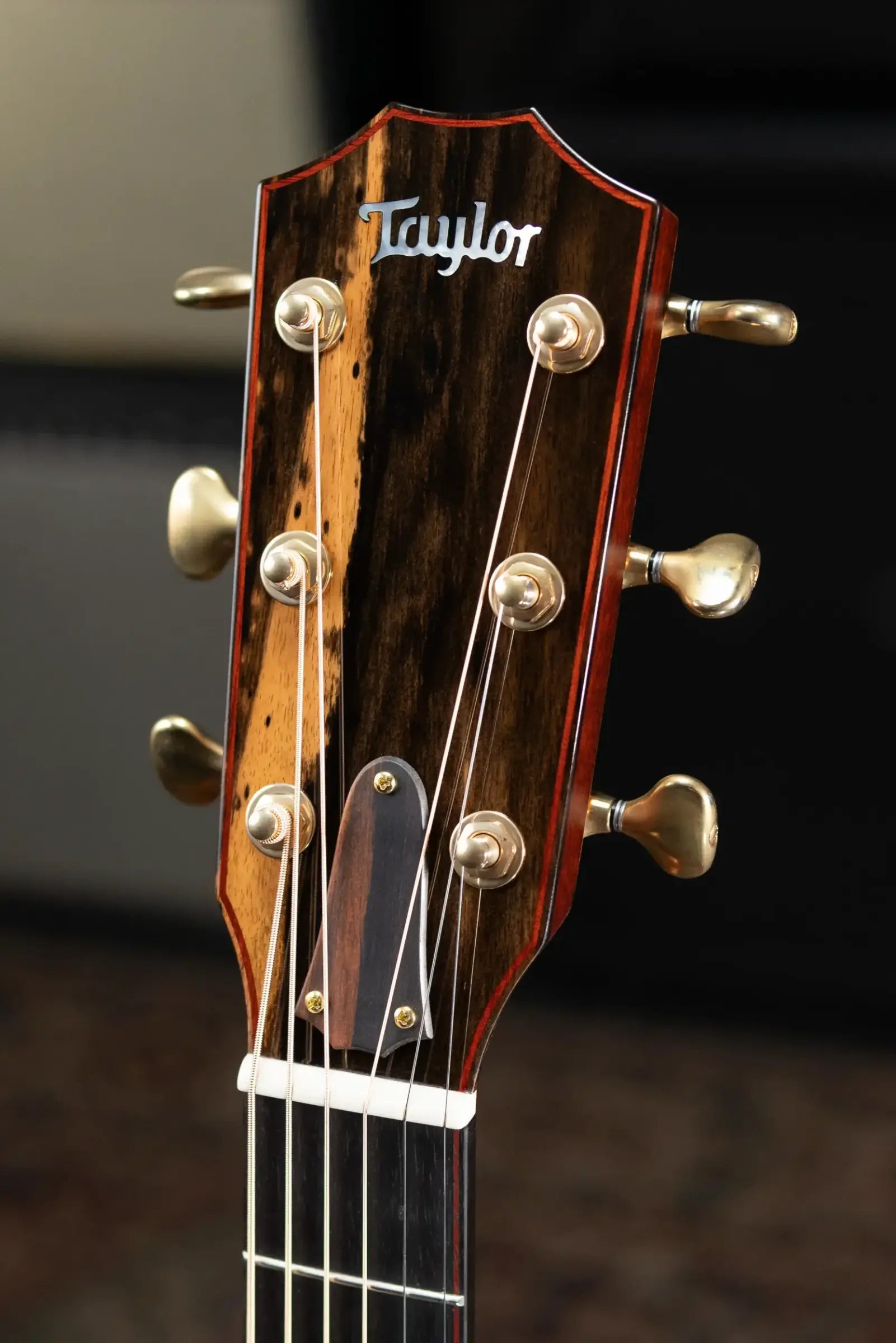 Taylor Custom Shop Jumbo One-Off Acoustic/Electric Guitar - AA Koa with Hardshell Case
