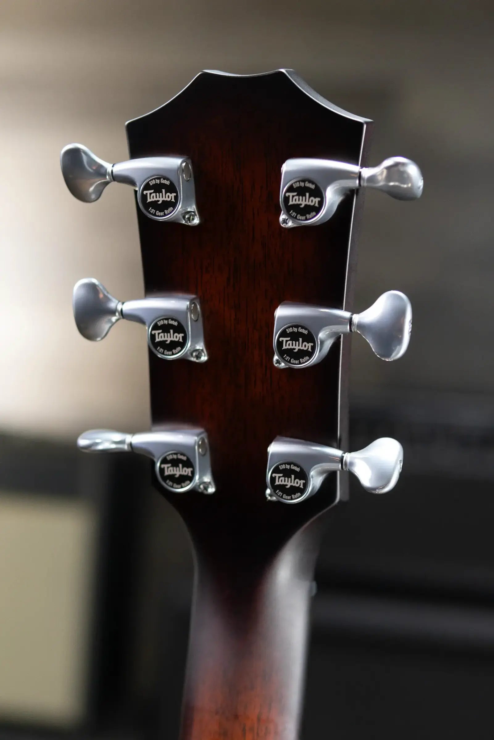 Taylor Next Generation Builder's Edition 514ce Grand Auditorium Acoustic/Electric Guitar - Natural with Hardshell Case