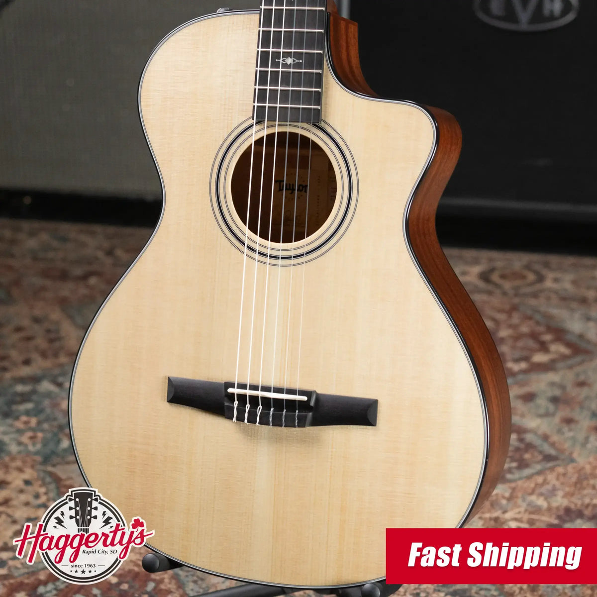 Taylor 312ce-N Nylon Grand Concert Acoustic/Electric Guitar - Natural with Hardshell Case