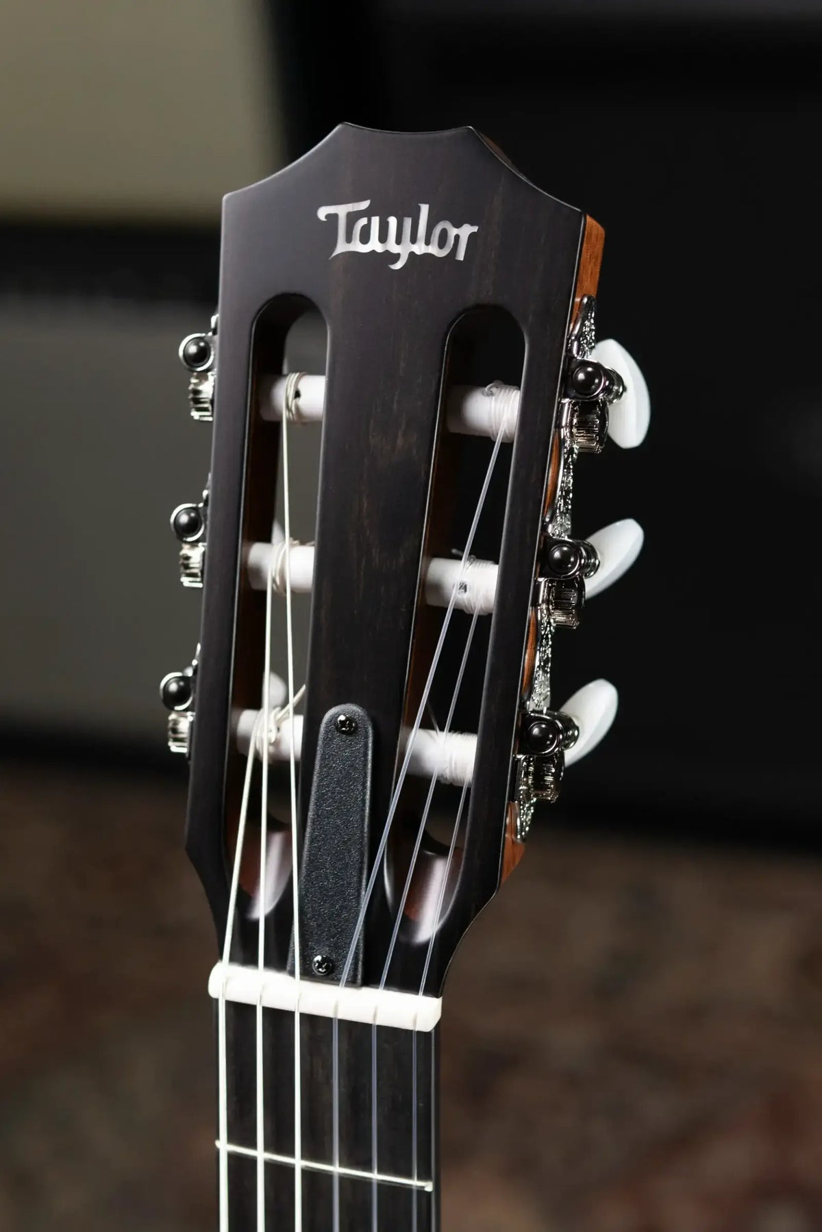 Taylor 312ce-N Nylon Grand Concert Acoustic/Electric Guitar - Natural with Hardshell Case