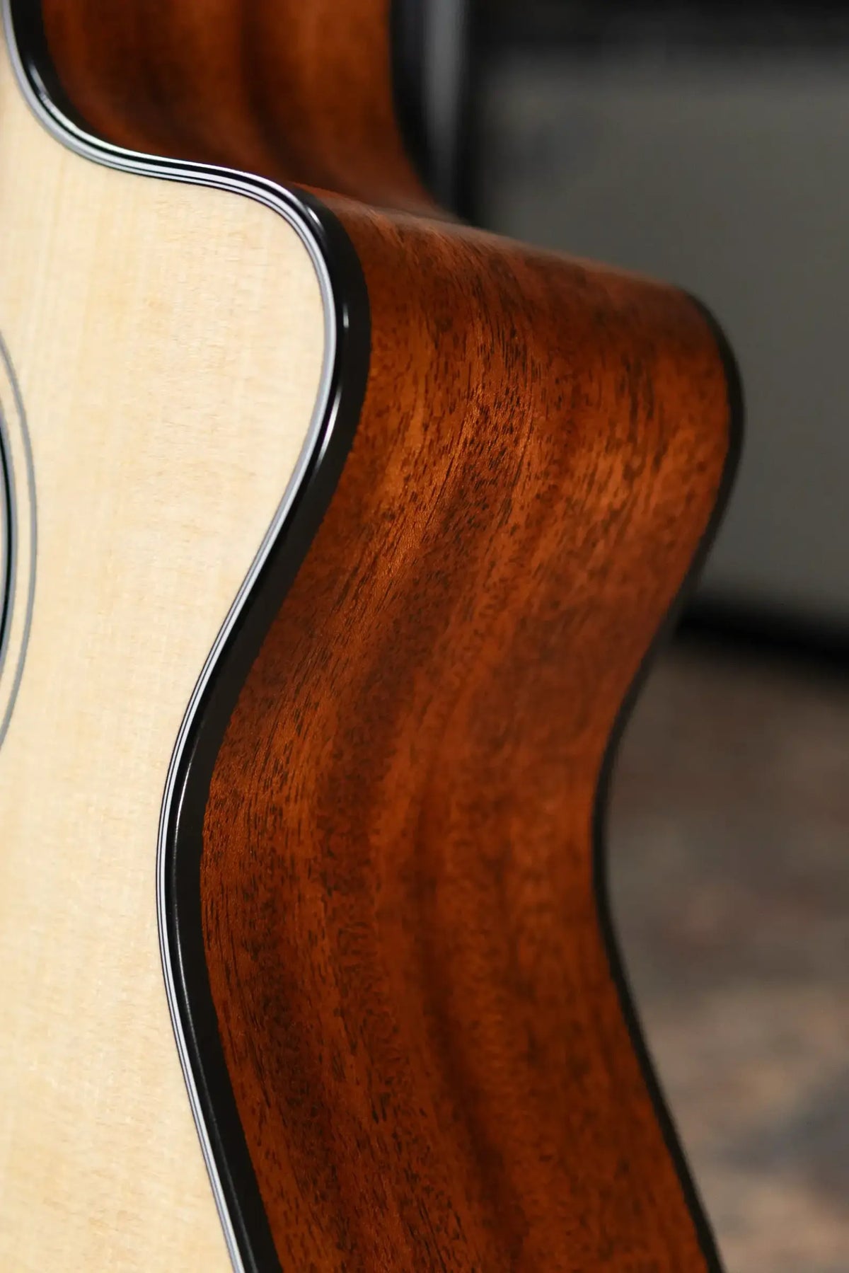 Taylor 312ce-N Nylon Grand Concert Acoustic/Electric Guitar - Natural with Hardshell Case