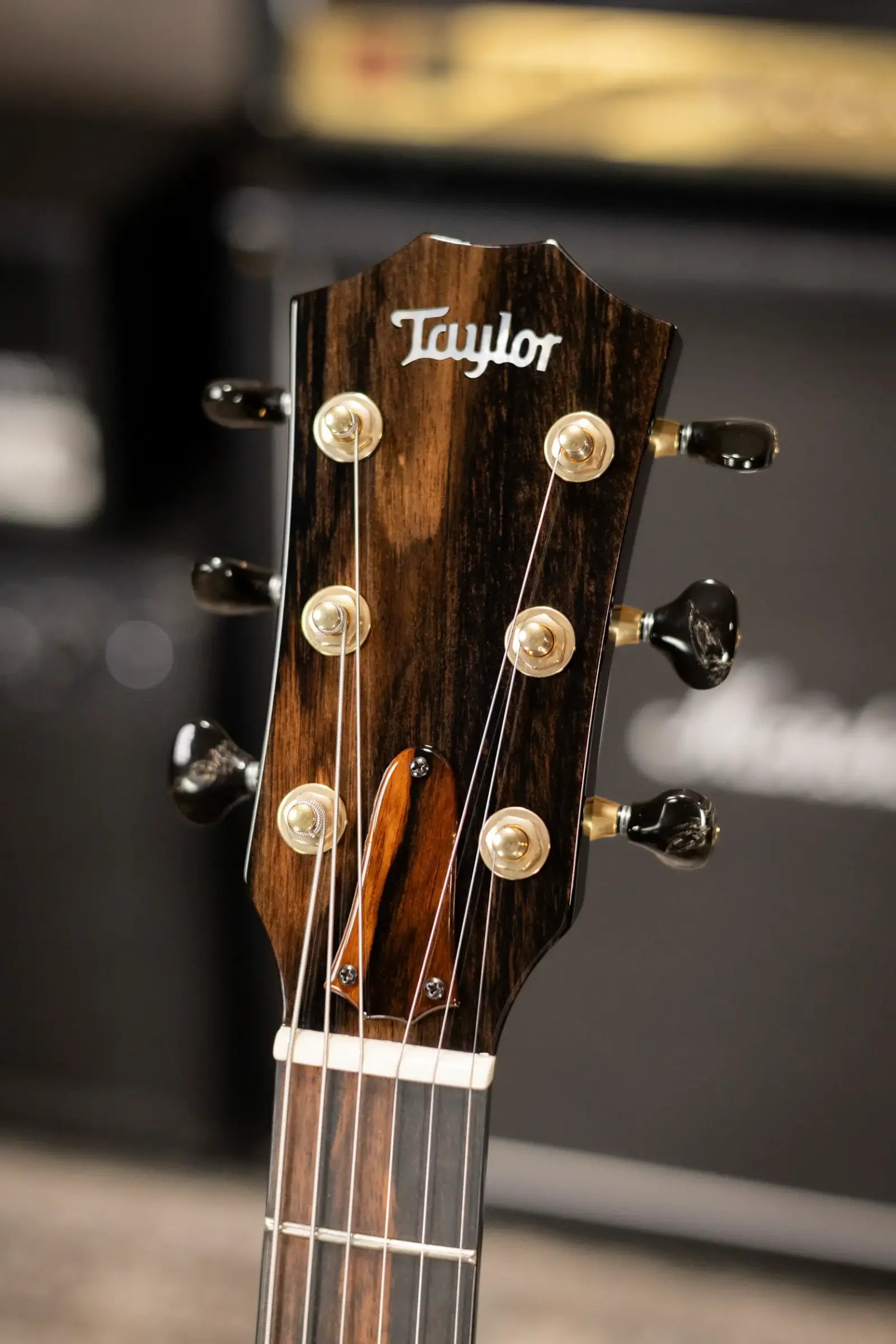 Taylor Custom Shop T5z Custom #C0960 Figured Ironbark/Shamel Ash Hollow Body Electric Guitar with Hardshell Case