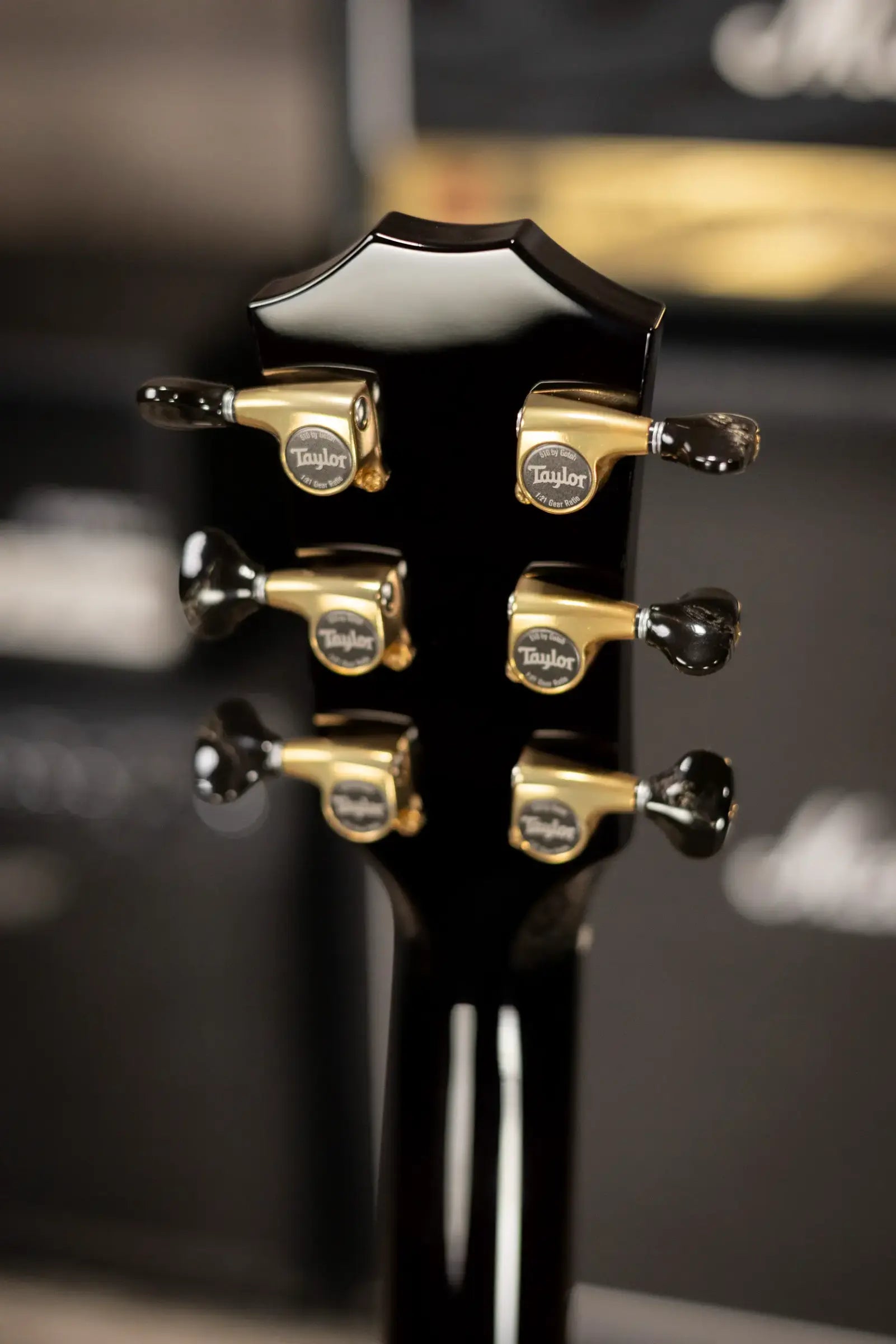 Taylor Custom Shop T5z Custom #C0960 Figured Ironbark/Shamel Ash Hollow Body Electric Guitar with Hardshell Case