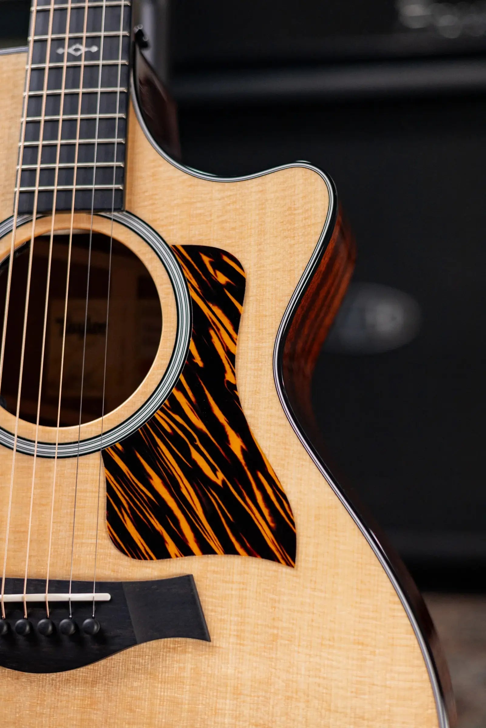 Taylor Next Generation 312ce Grand Concert Acoustic/Electric Guitar with Hardshell Case