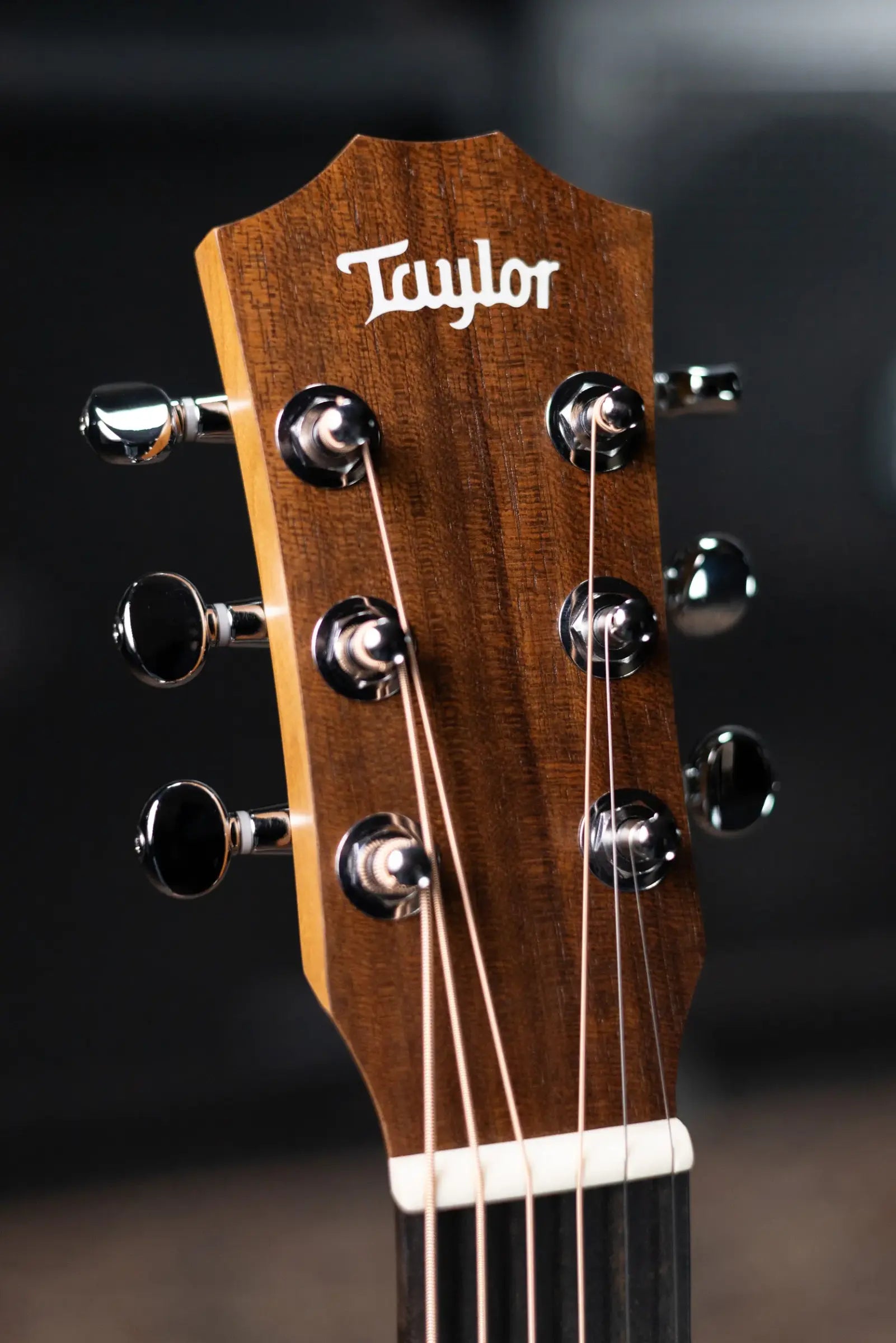 Taylor BT2 Mahogany Baby Taylor Acoustic Guitar with Gig Bag