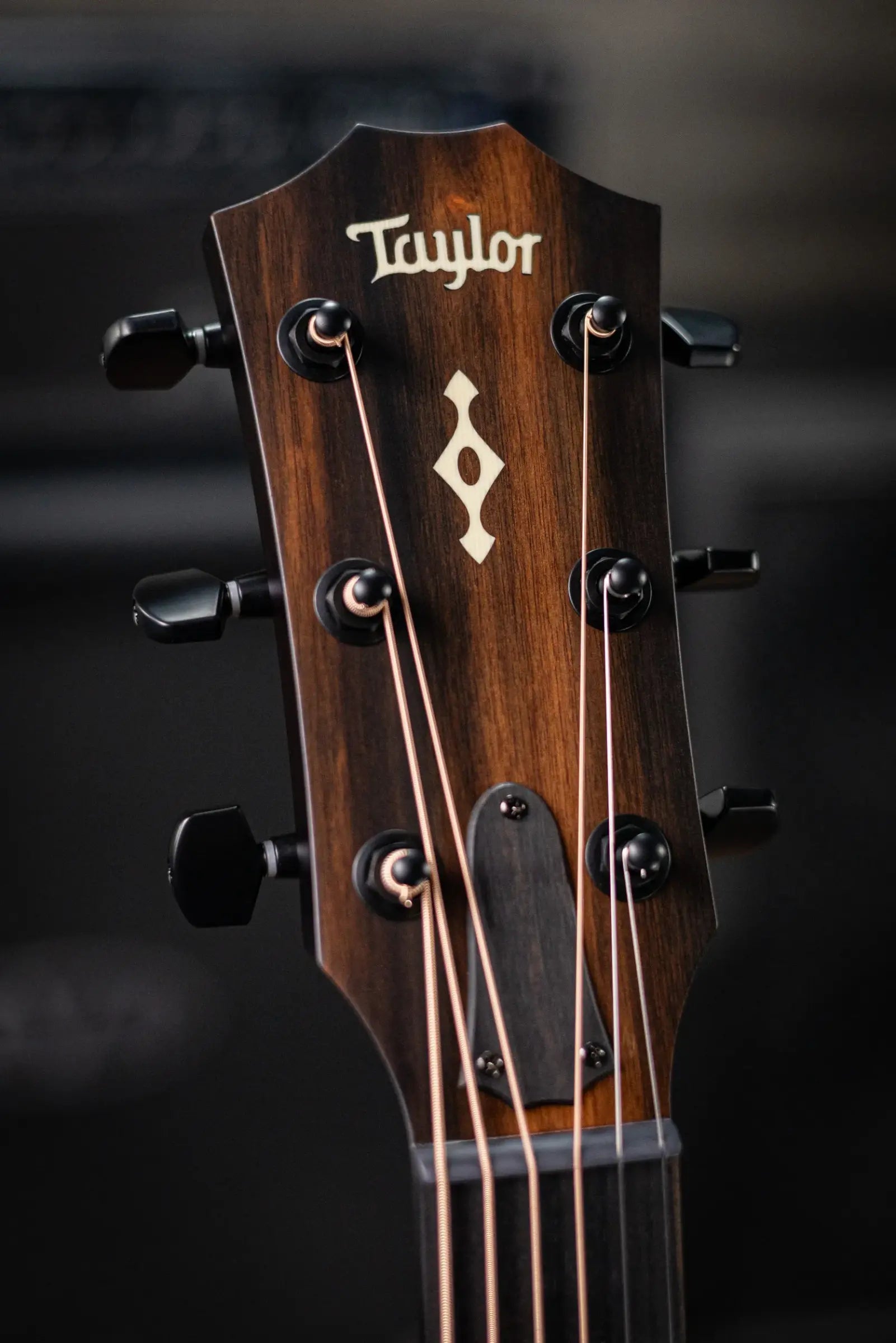 Taylor Next Generation Builder's Edition 324ce Grand Auditorium Acoustic/Electric Guitar - Kona Burst with Hardshell Case