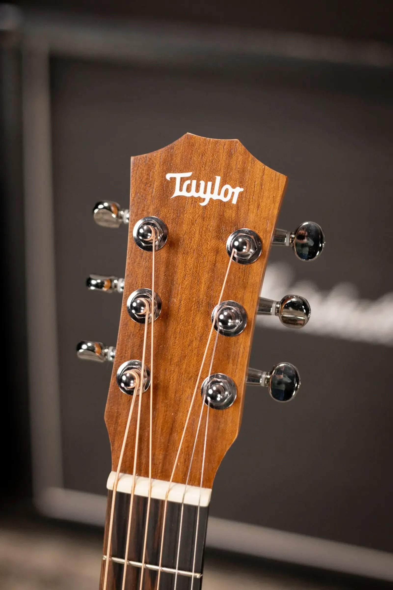 Taylor BT1e Baby Taylor Acoustic-Electric Guitar w/ Gig Bag