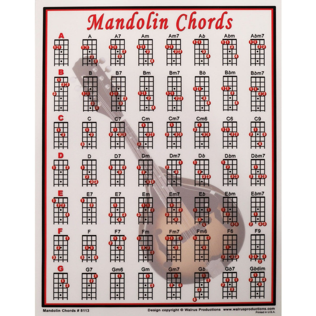 MANDOLIN CHORDS MINI CHART 8113