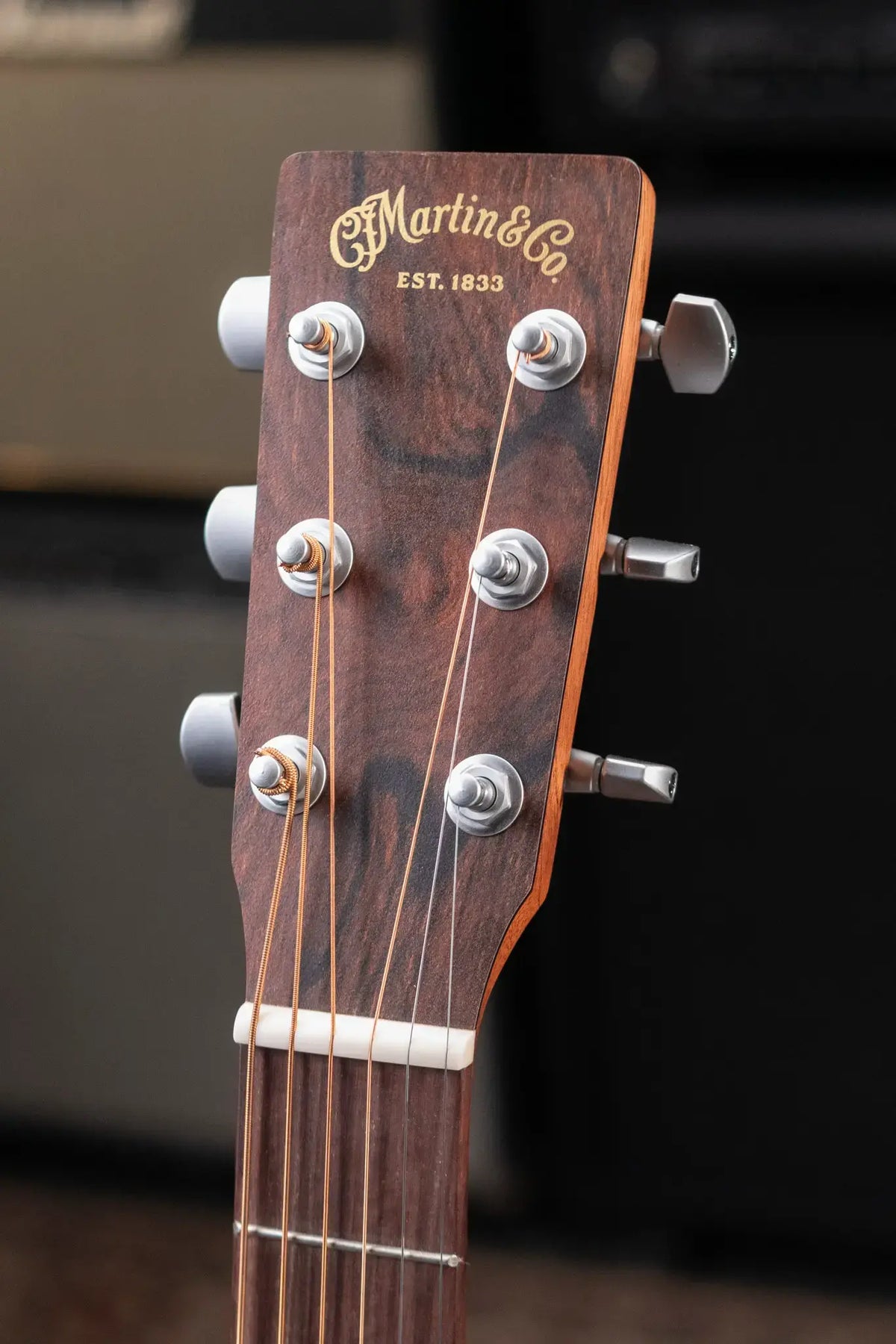 Martin GPC-X2E Acoustic/Electric Guitar - Cocobolo with Gig Bag - Demo