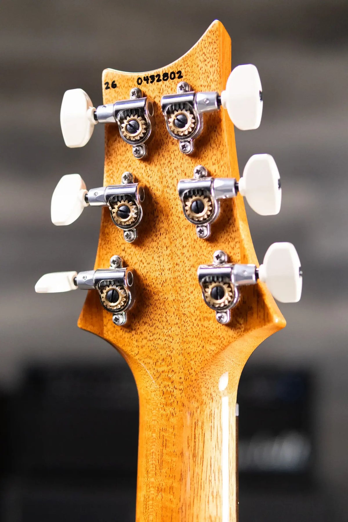 PRS Custom 24 "Birds of a Feather" Limited Edition Artist Top Electric Guitar - Charcoal Microburst with Hardshell Case
