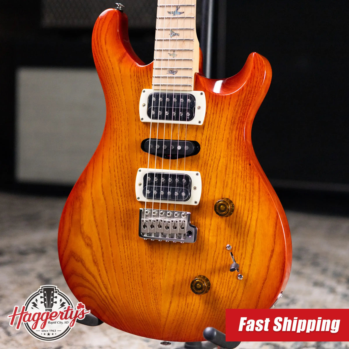 PRS SE Swamp Ash Special 22 Electric Guitar - Vintage Sunburst with Gig Bag
