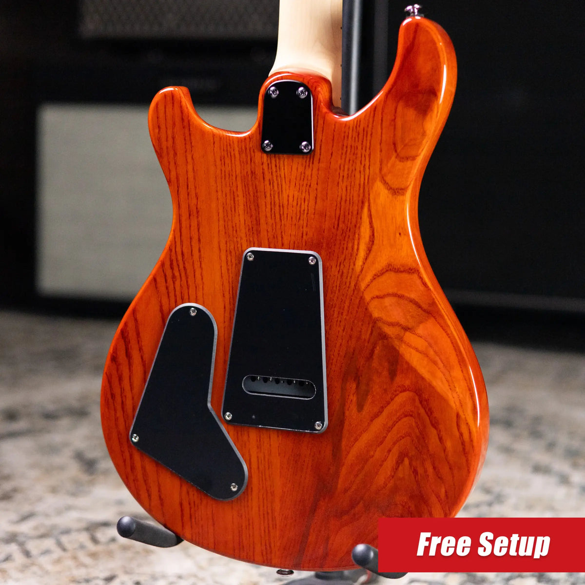 PRS SE Swamp Ash Special 22 Electric Guitar - Vintage Sunburst with Gig Bag