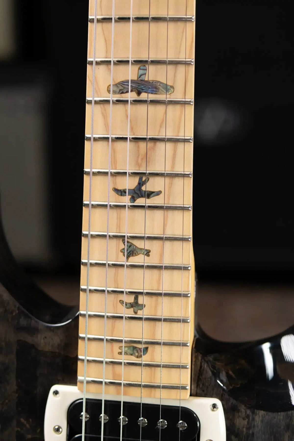 PRS SE Swamp Ash Special 22 Bolt-on Electric Guitar - Charcoal with Gig Bag