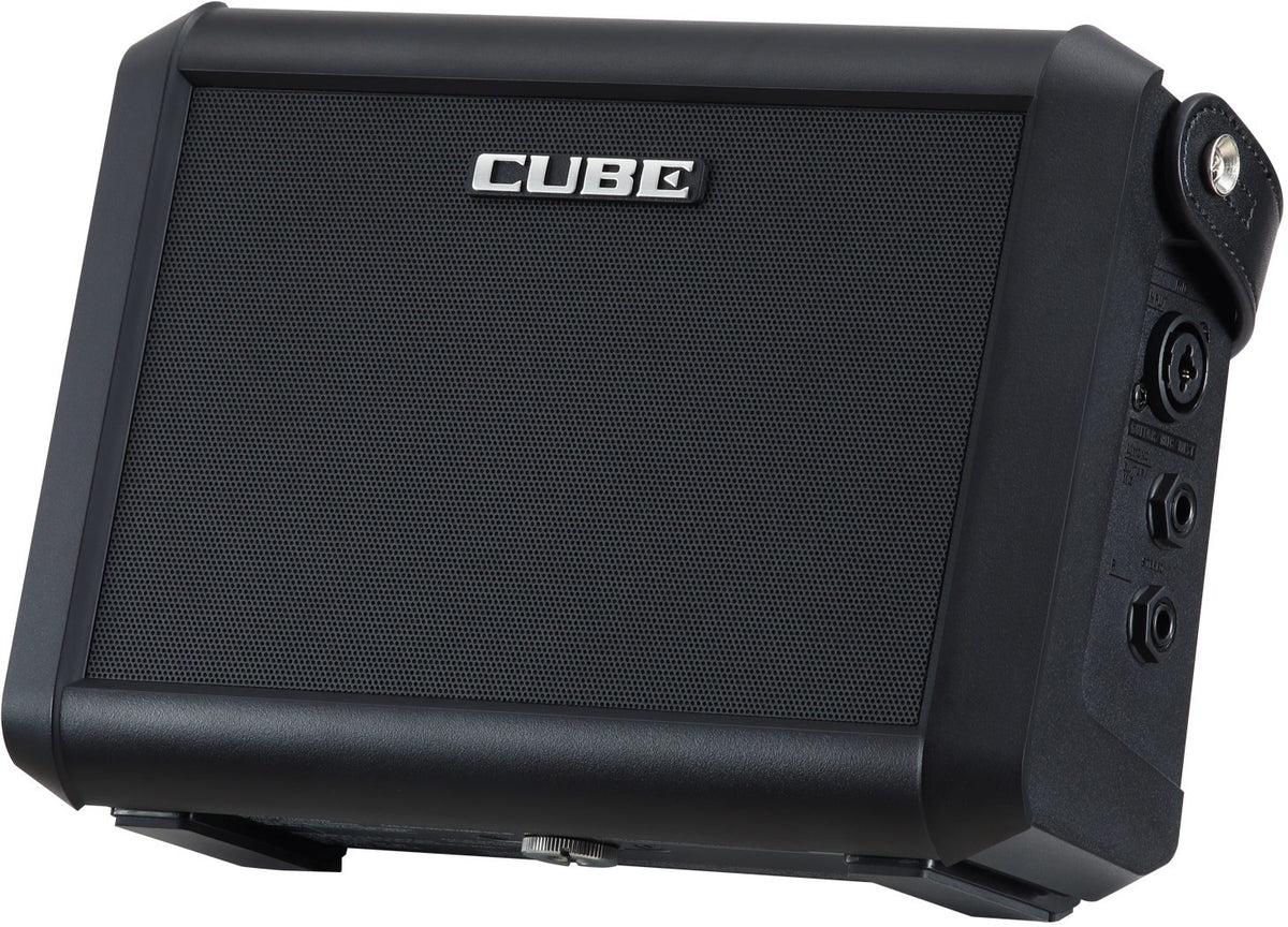 Roland CUBE-Street Mini Amplifier
