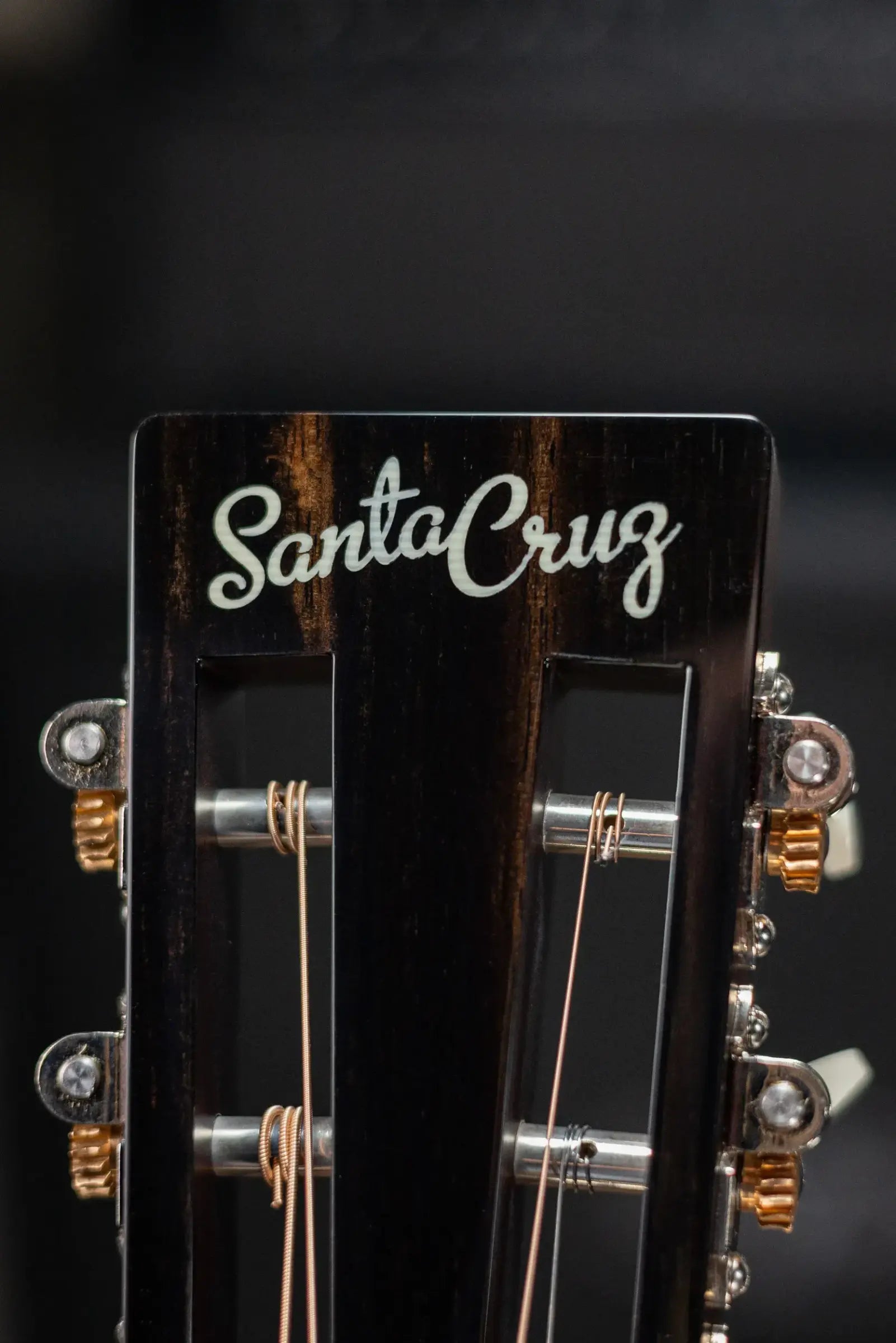 Santa Cruz H13 Acoustic Guitar - Bearclaw German Spruce/African Blackwood with Hardshell Case
