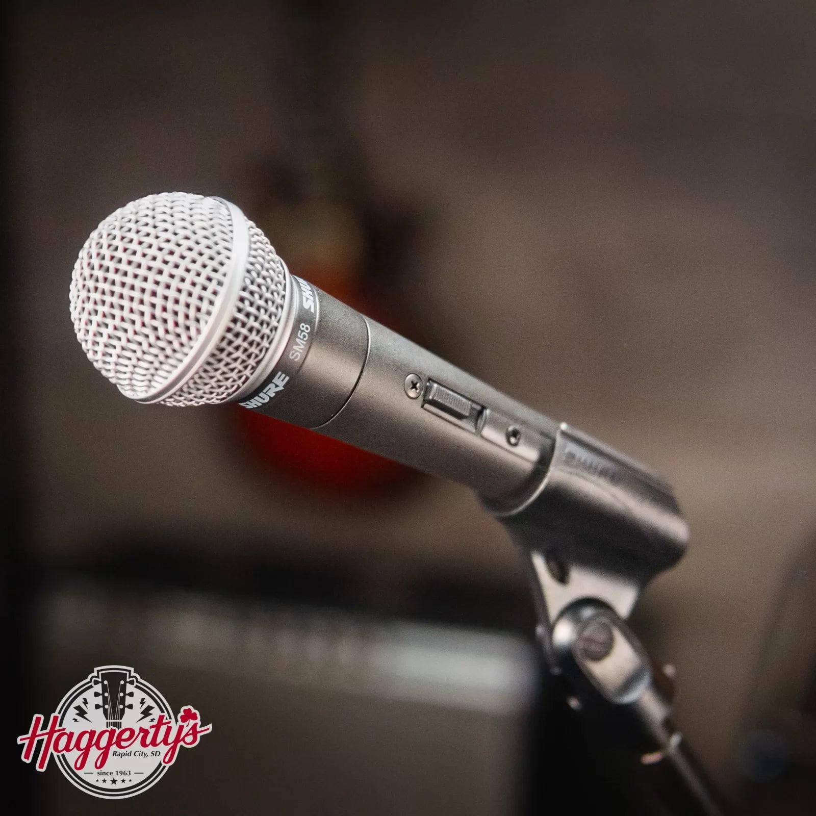 Shure SM58S Microphone w Switch haggertys 1