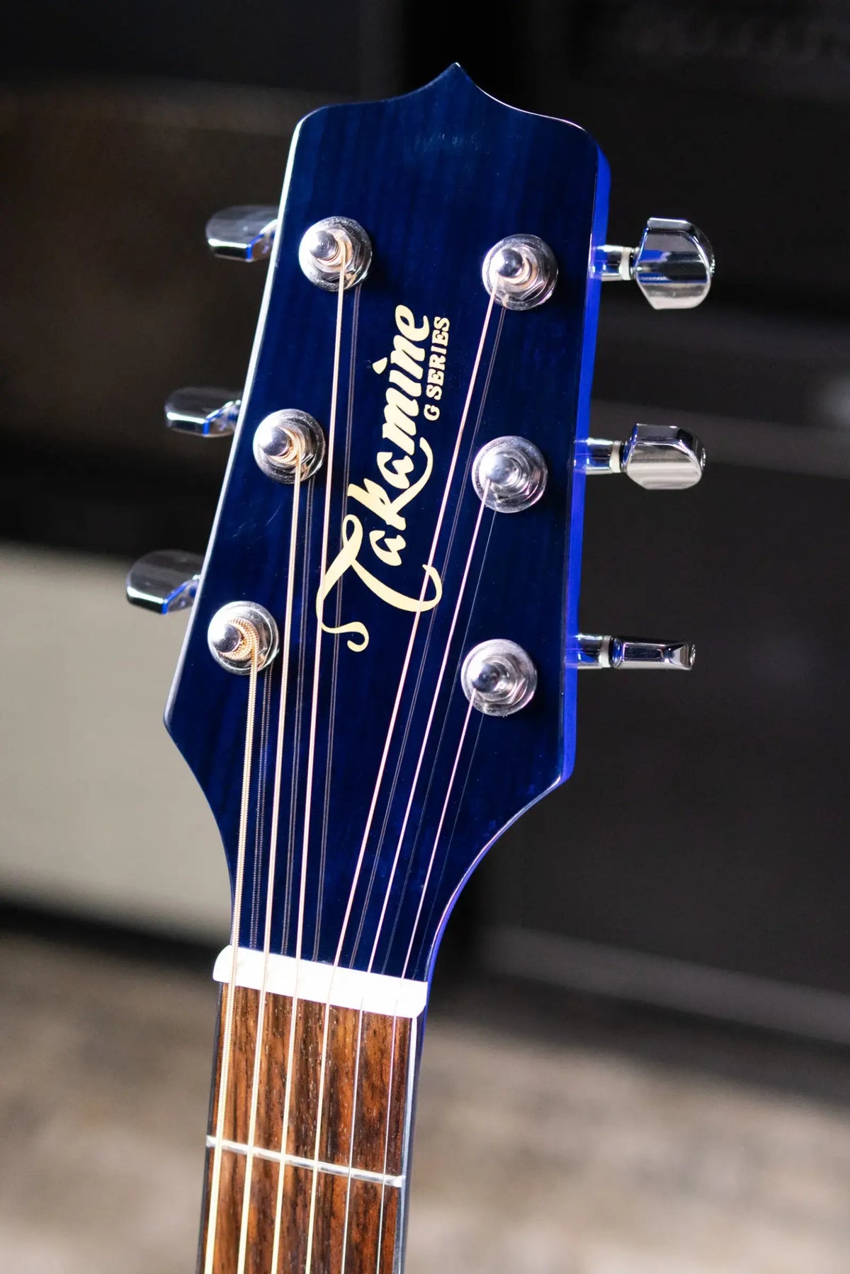 Takamine EG523SC G-Series Jumbo Acoustic/Electric Guitar - Blue with Hardshell Case - Used