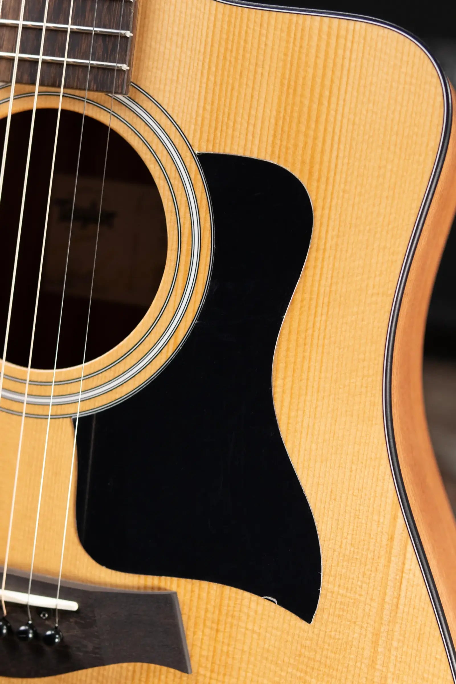 Taylor 110ce Dreadnought Acoustic/Electric Guitar - Solid Torrefield Spruce with Gig Bag