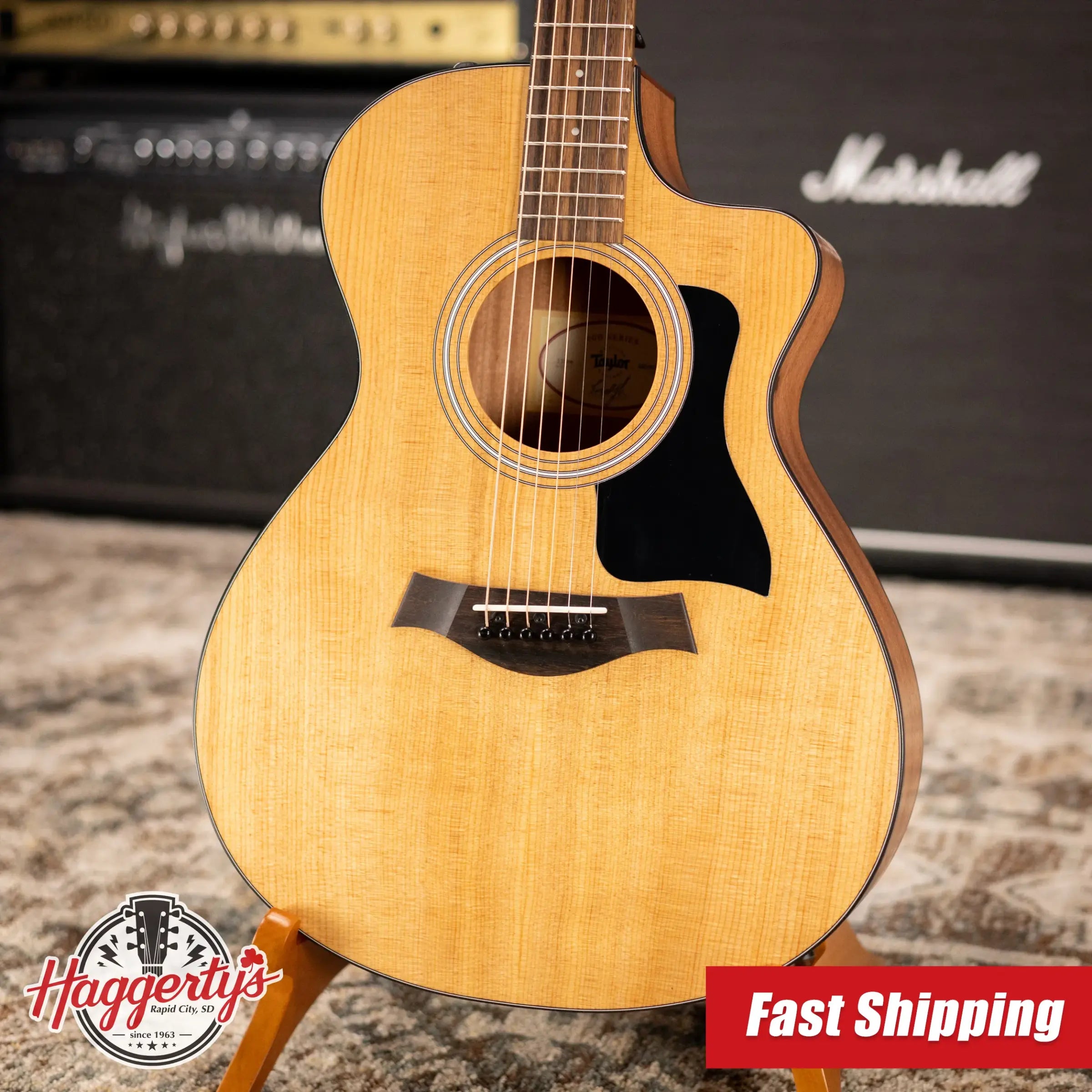 Taylor 112ce Grand Concert Acoustic/Electric Guitar with Gig Bag - Demo