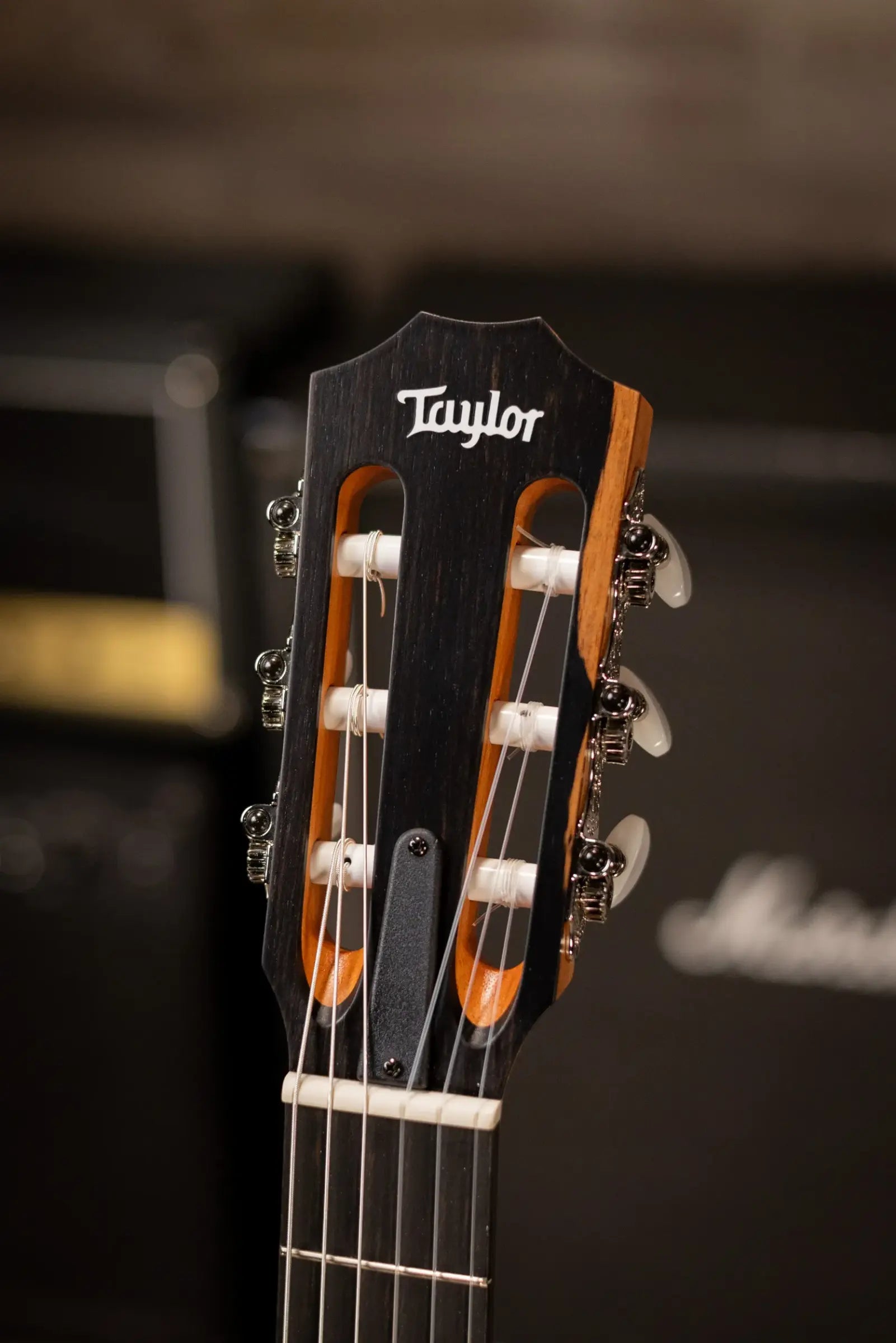 Taylor 112ce-N Nylon Grand Concert Acoustic/Electric Guitar with Gig Bag