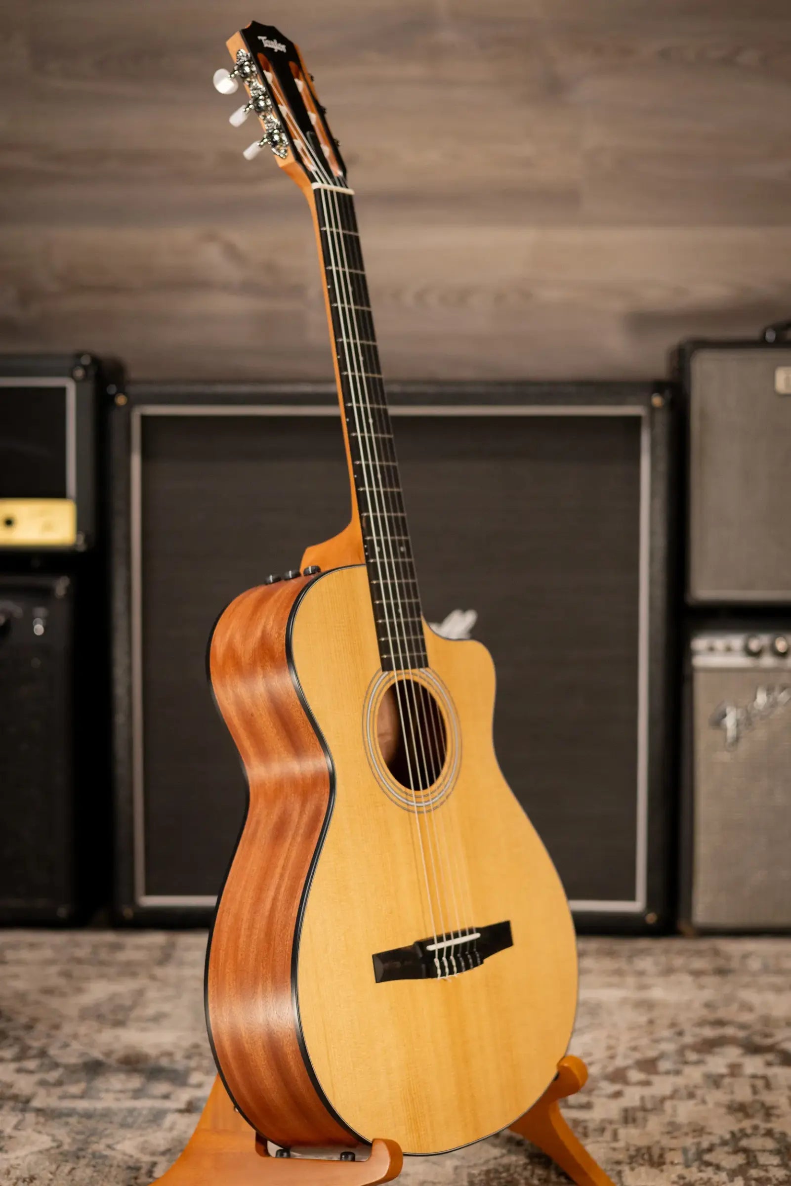 Taylor 112ce-N Nylon Grand Concert Acoustic/Electric Guitar with Gig Bag