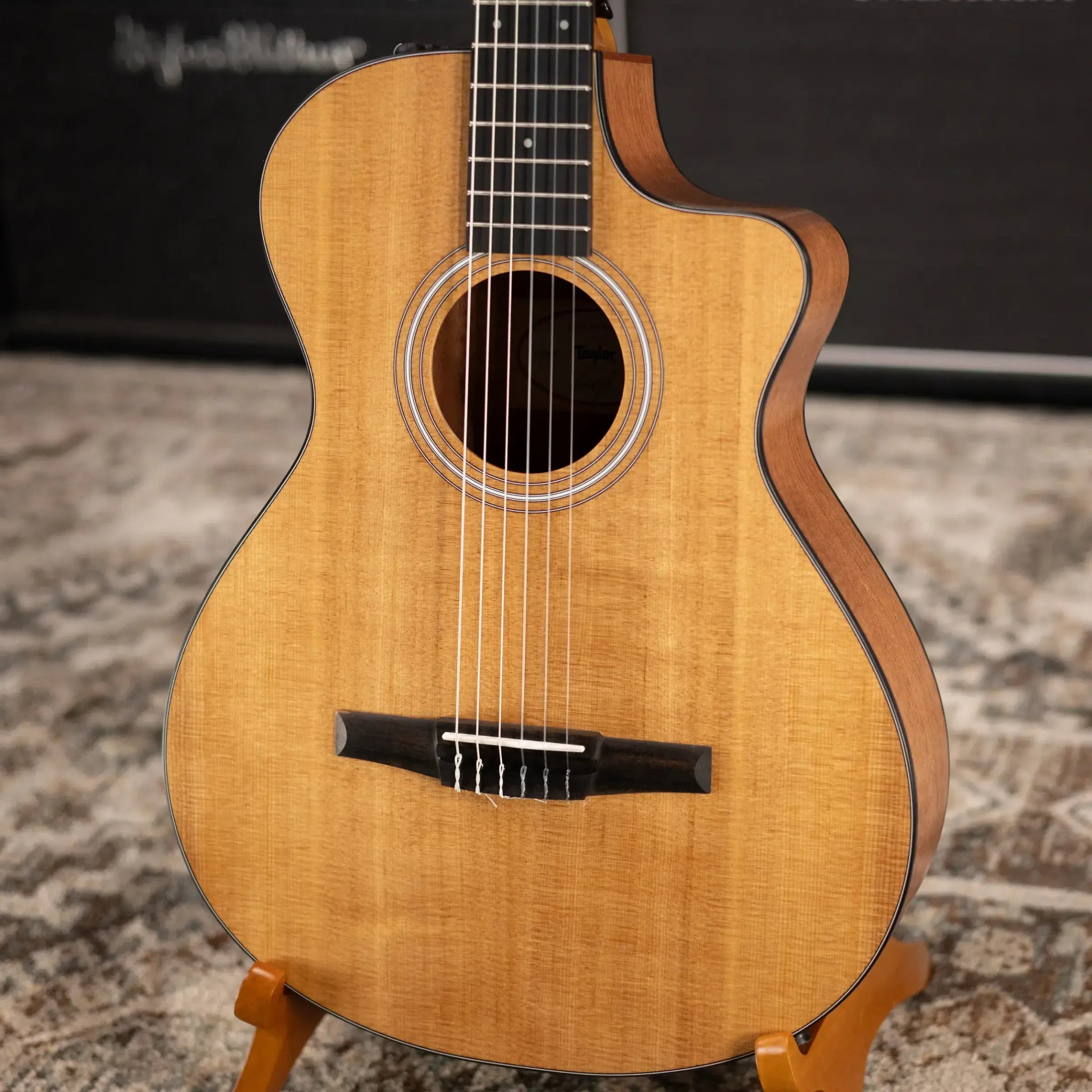 Taylor 112ce-N Nylon Grand Concert Acoustic/Electric Guitar with Gig Bag