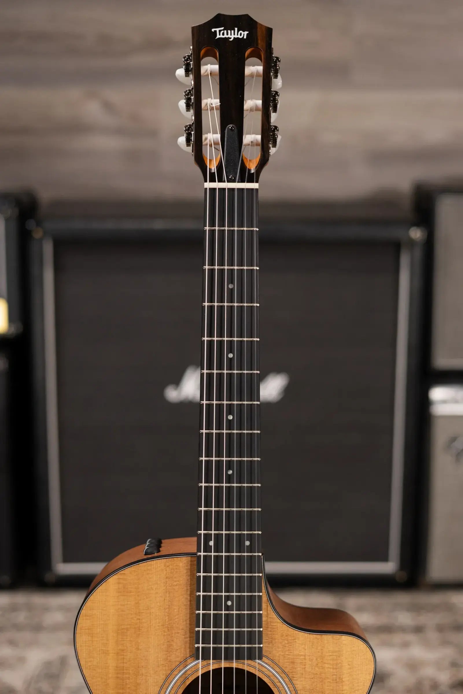 Taylor 112ce-N Nylon Grand Concert Acoustic/Electric Guitar with Gig Bag