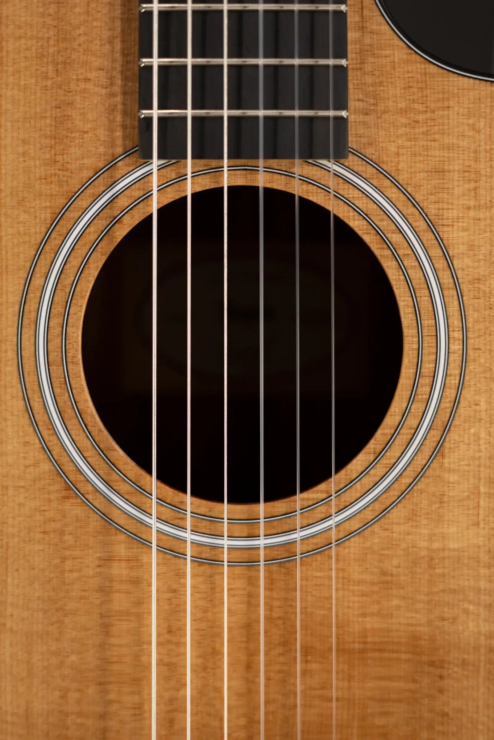 Taylor 112ce-N Nylon Grand Concert Acoustic/Electric Guitar with Gig Bag