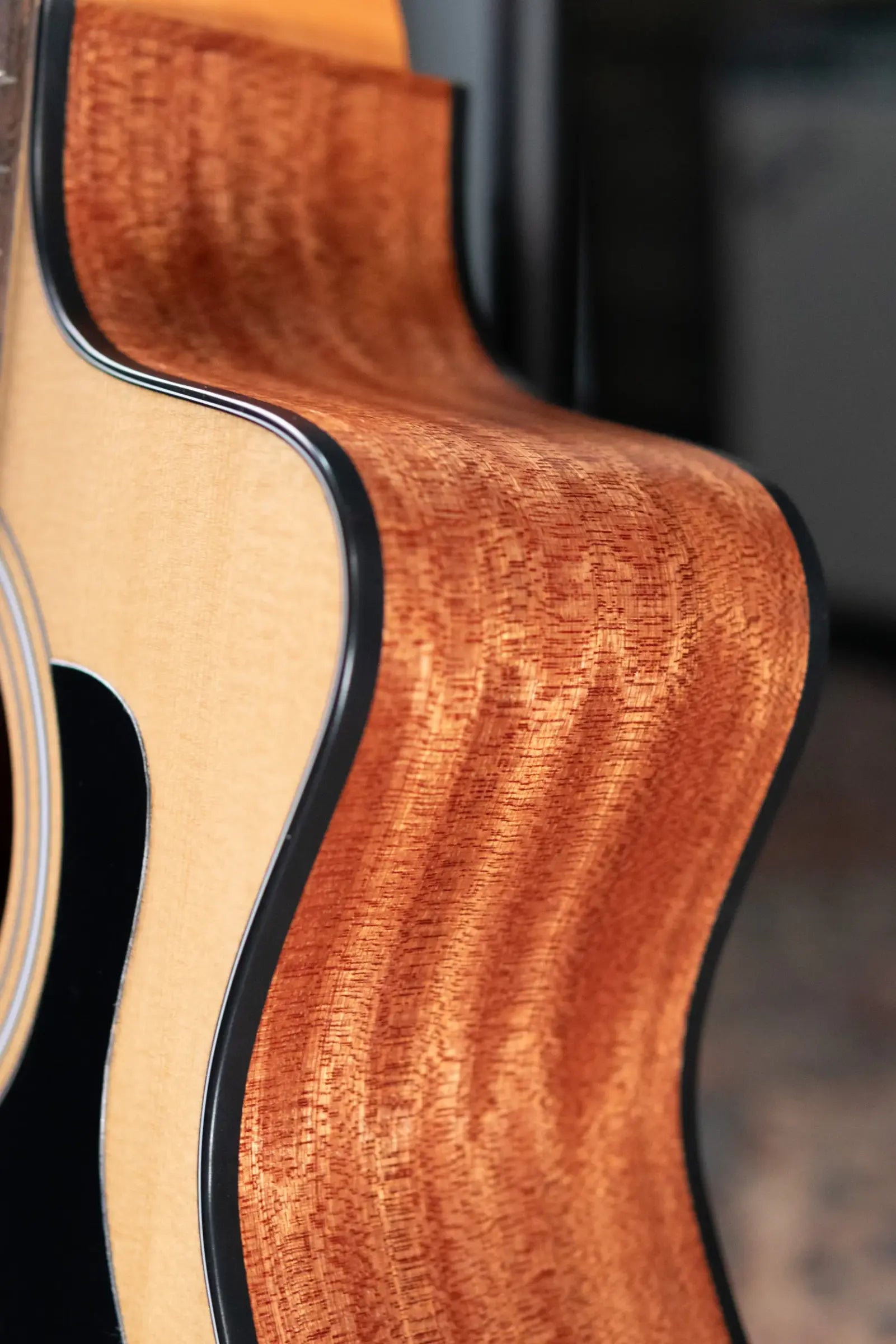 Taylor 114ce Grand Auditorium Acoustic/Electric Guitar - Sapele with Gig Bag