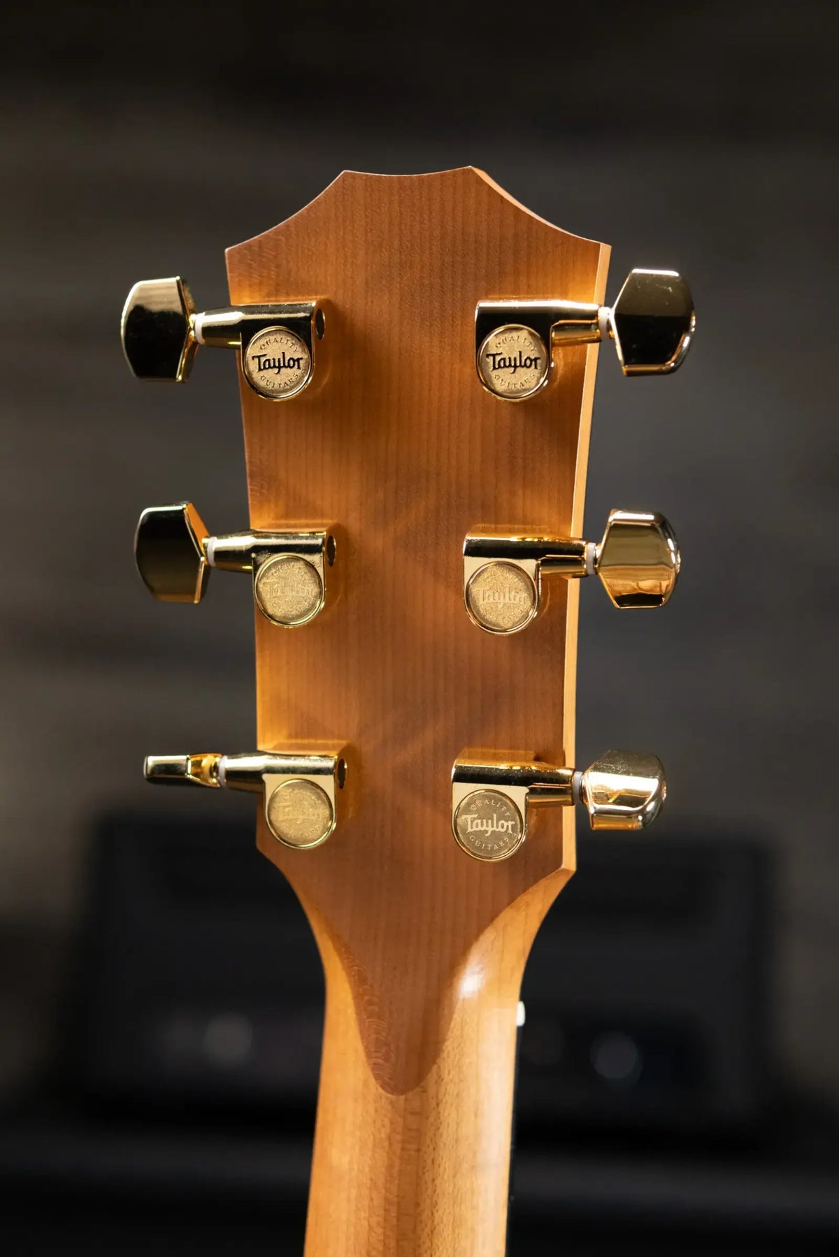 Taylor 114ce Sunset Blvd Grand Auditorium Acoustic/Electric Guitar - Shaded Edgeburst with Gig Bag
