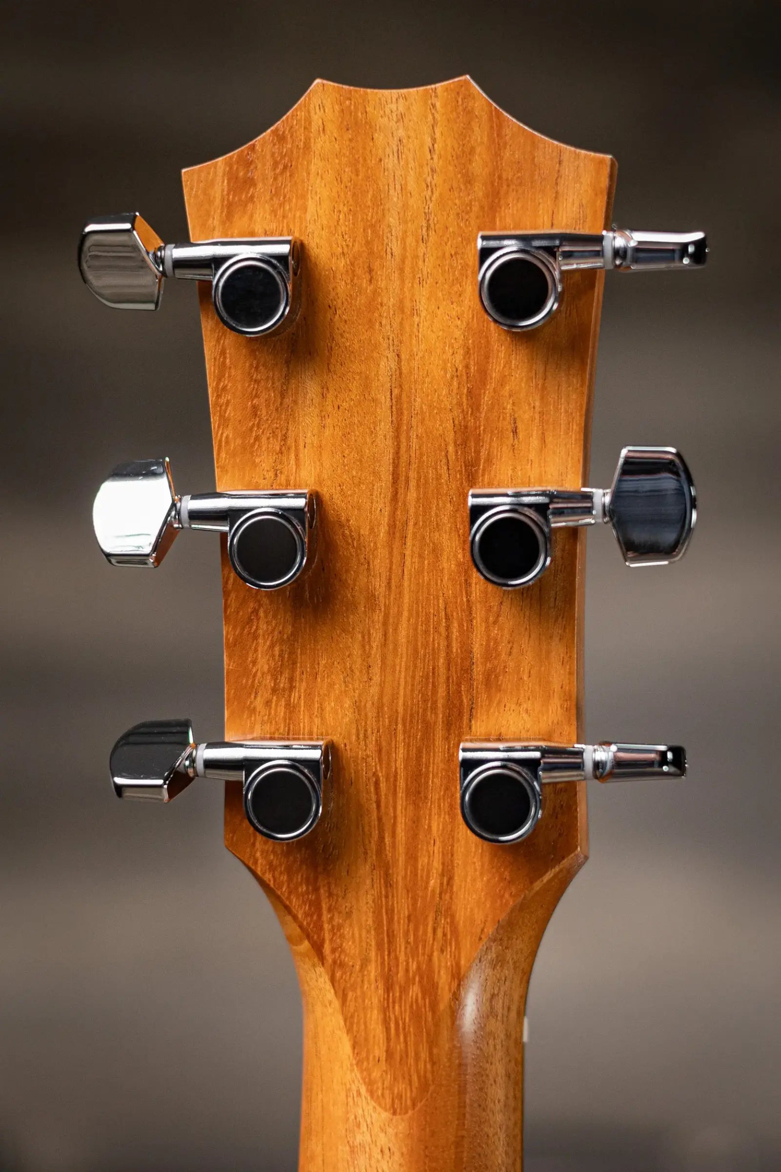 Taylor 117e Grand Pacific Acoustic/Electric Guitar with Gig Bag